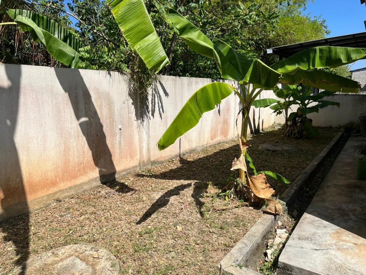 Damai Kangar Homestay