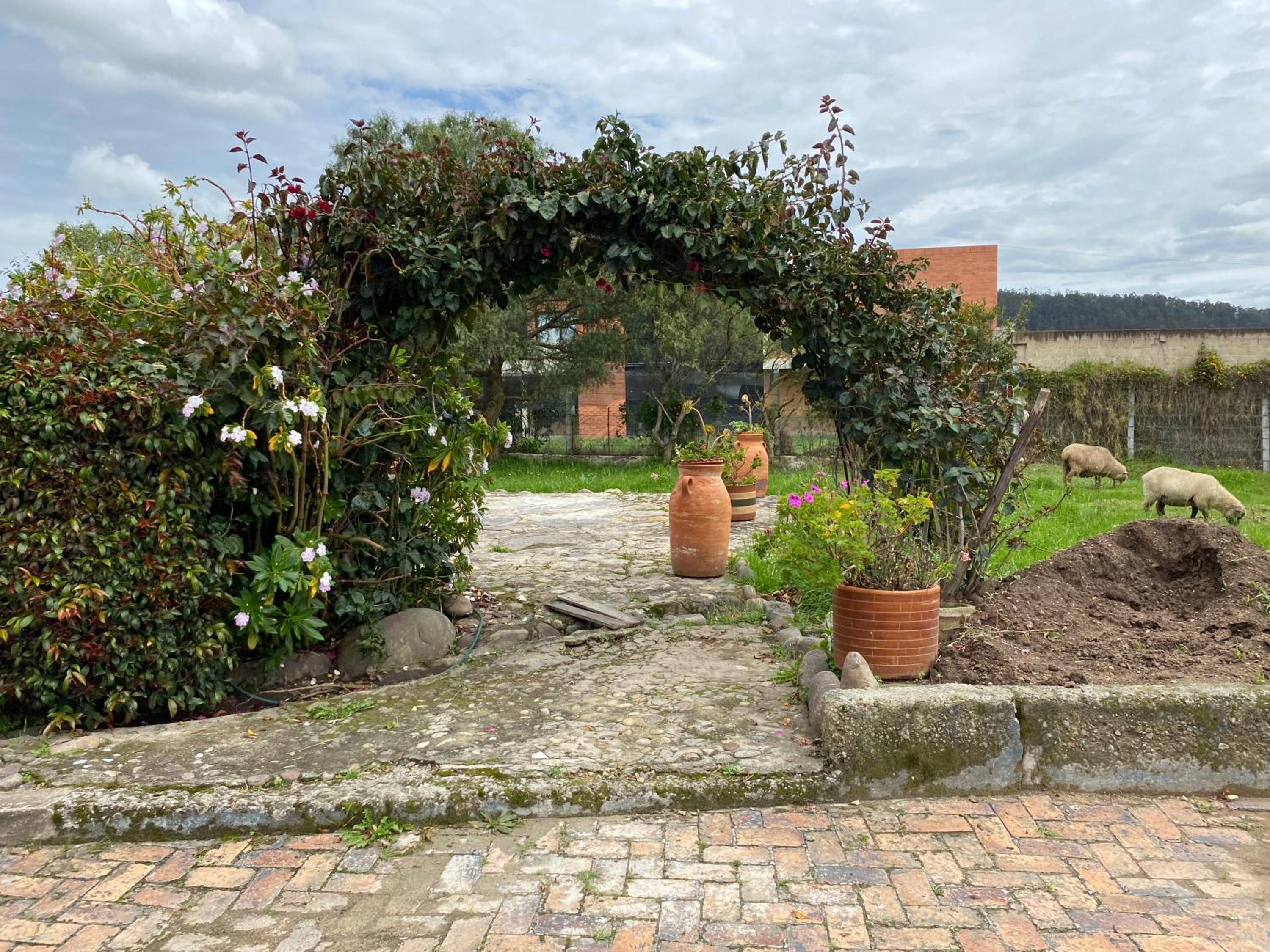 VILLA CONCHITA