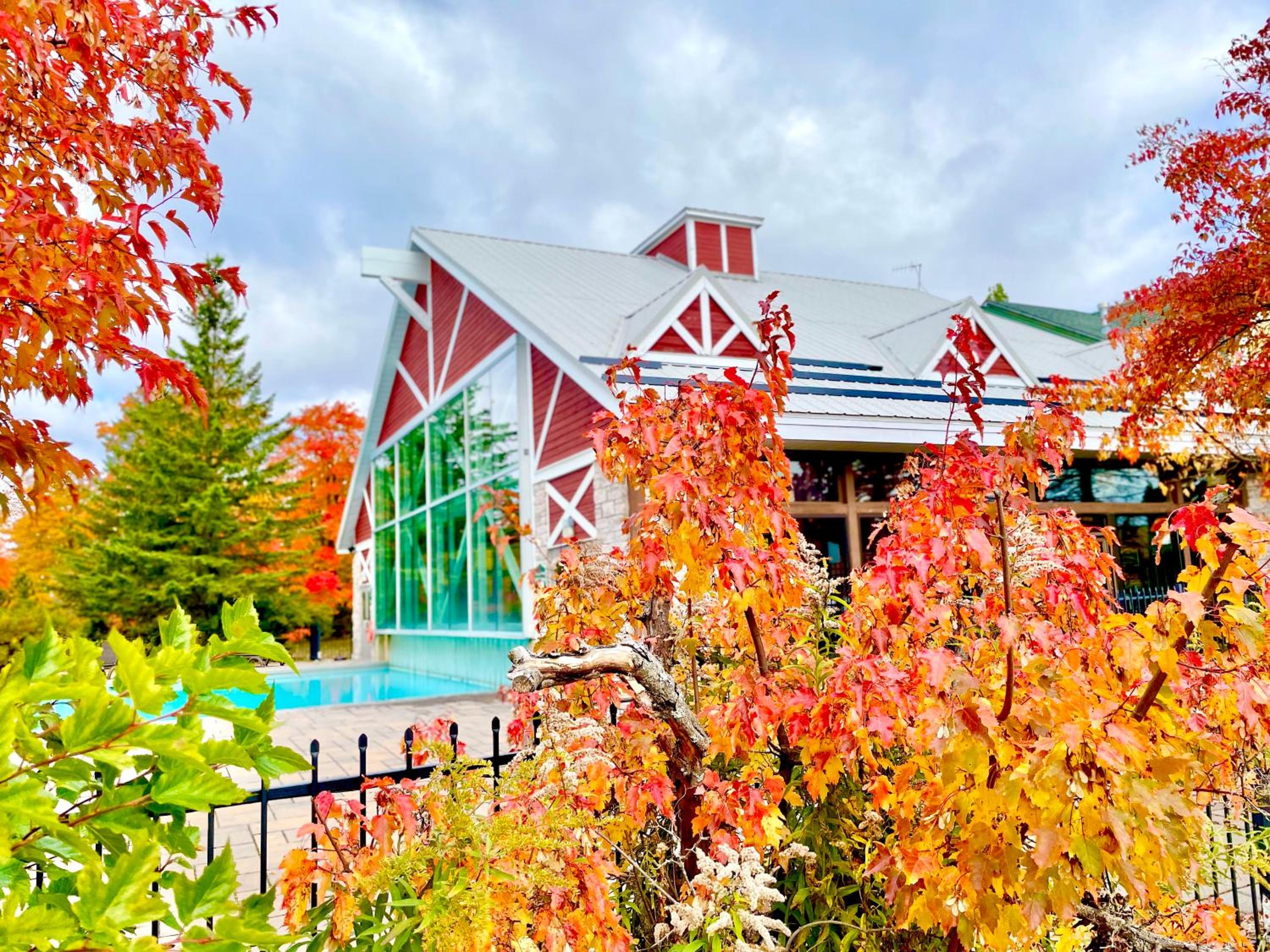 Hillside Haven: Carriage Club Resort Retreat