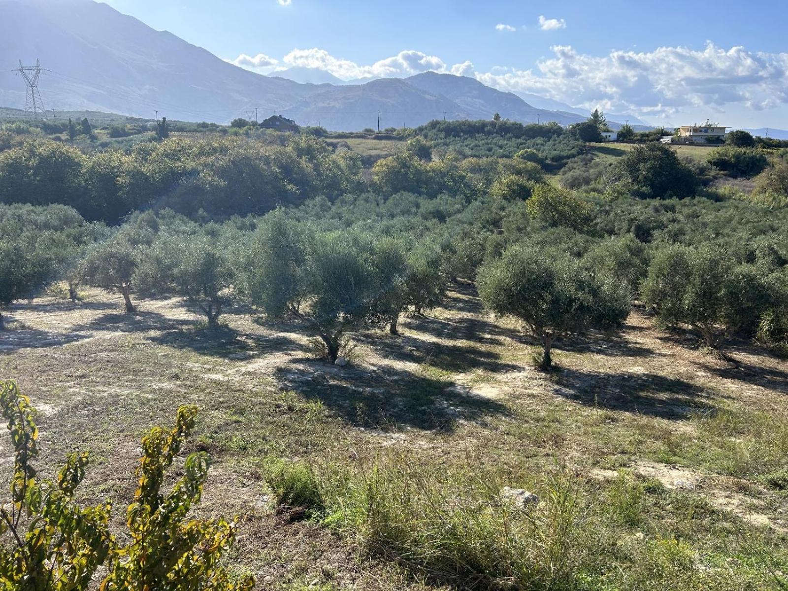 Villa Maïa