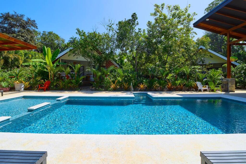 Casa Jeffrey - Beach Escape, Stunning views, Private Pool Steps to Ocean