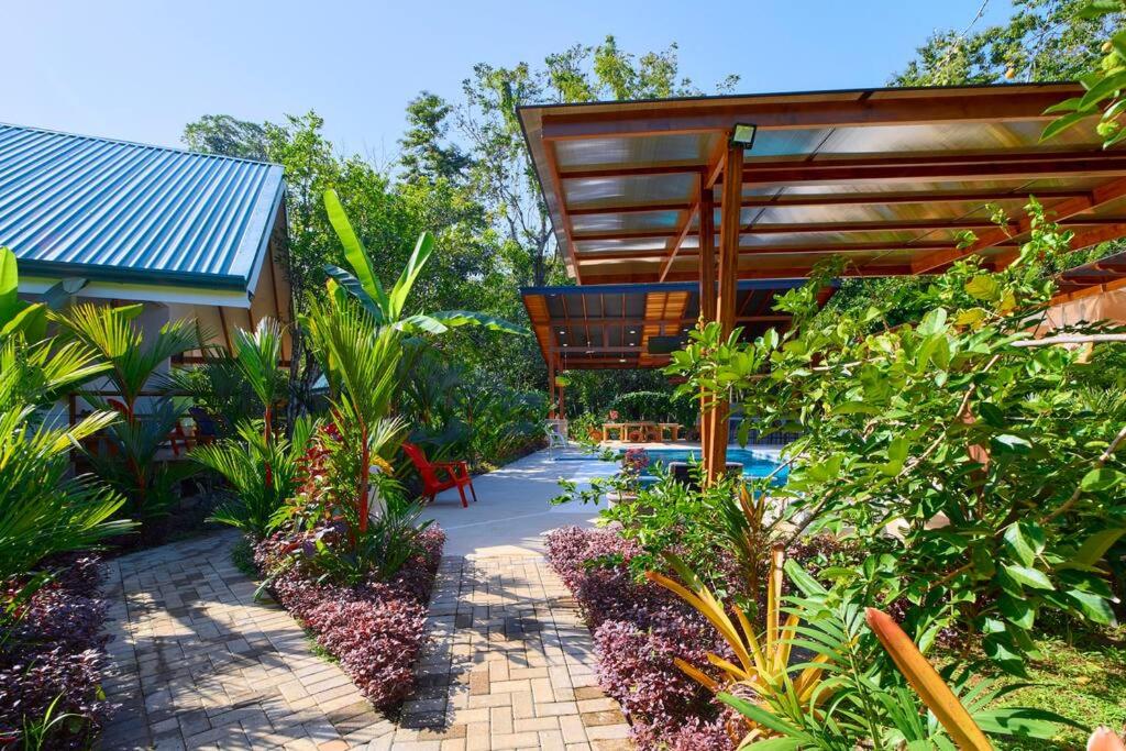 Casa Jeffrey - Beach Escape, Stunning views, Private Pool Steps to Ocean
