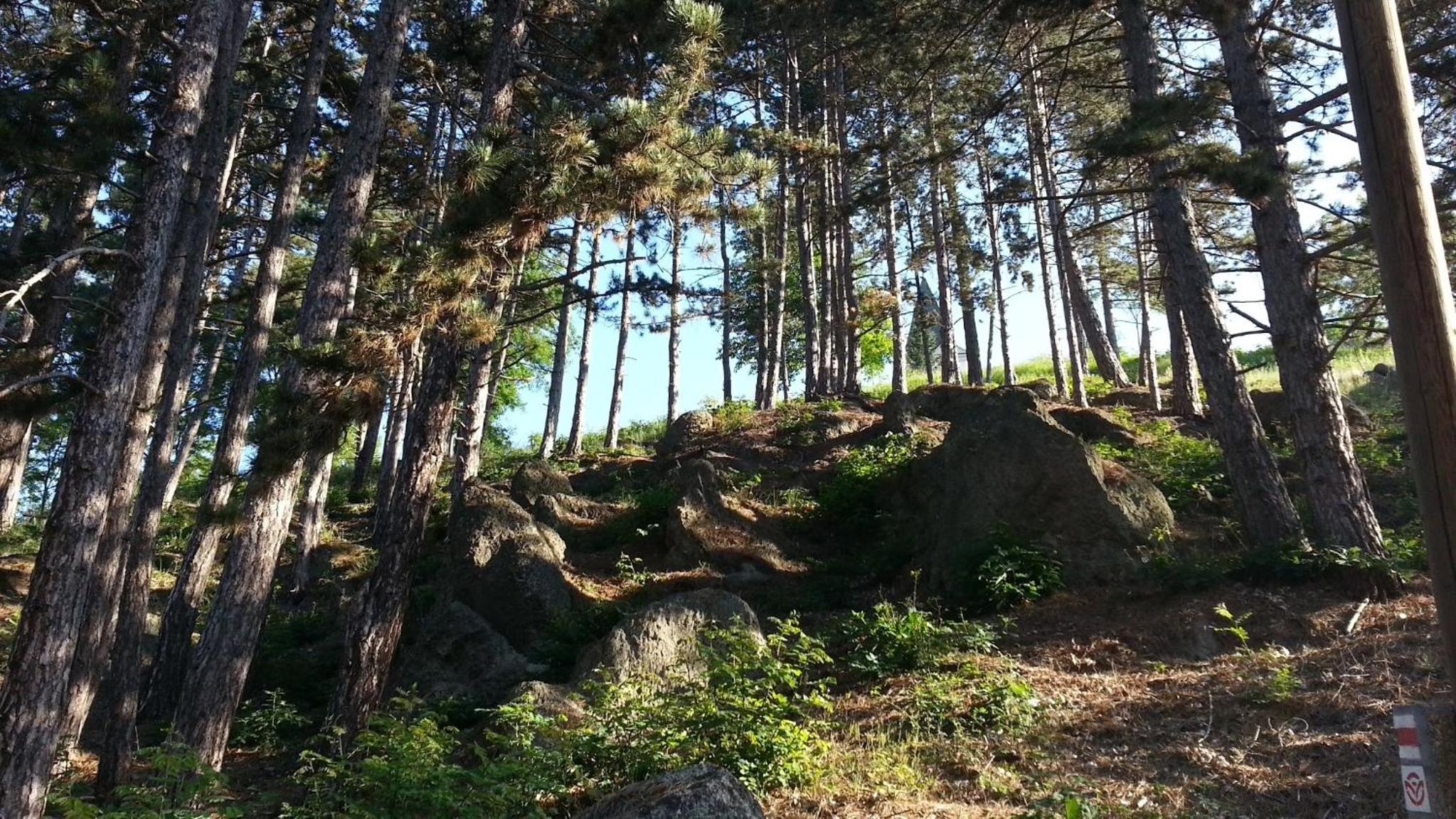 Photo 39