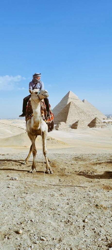 Eyad Pyramids view
