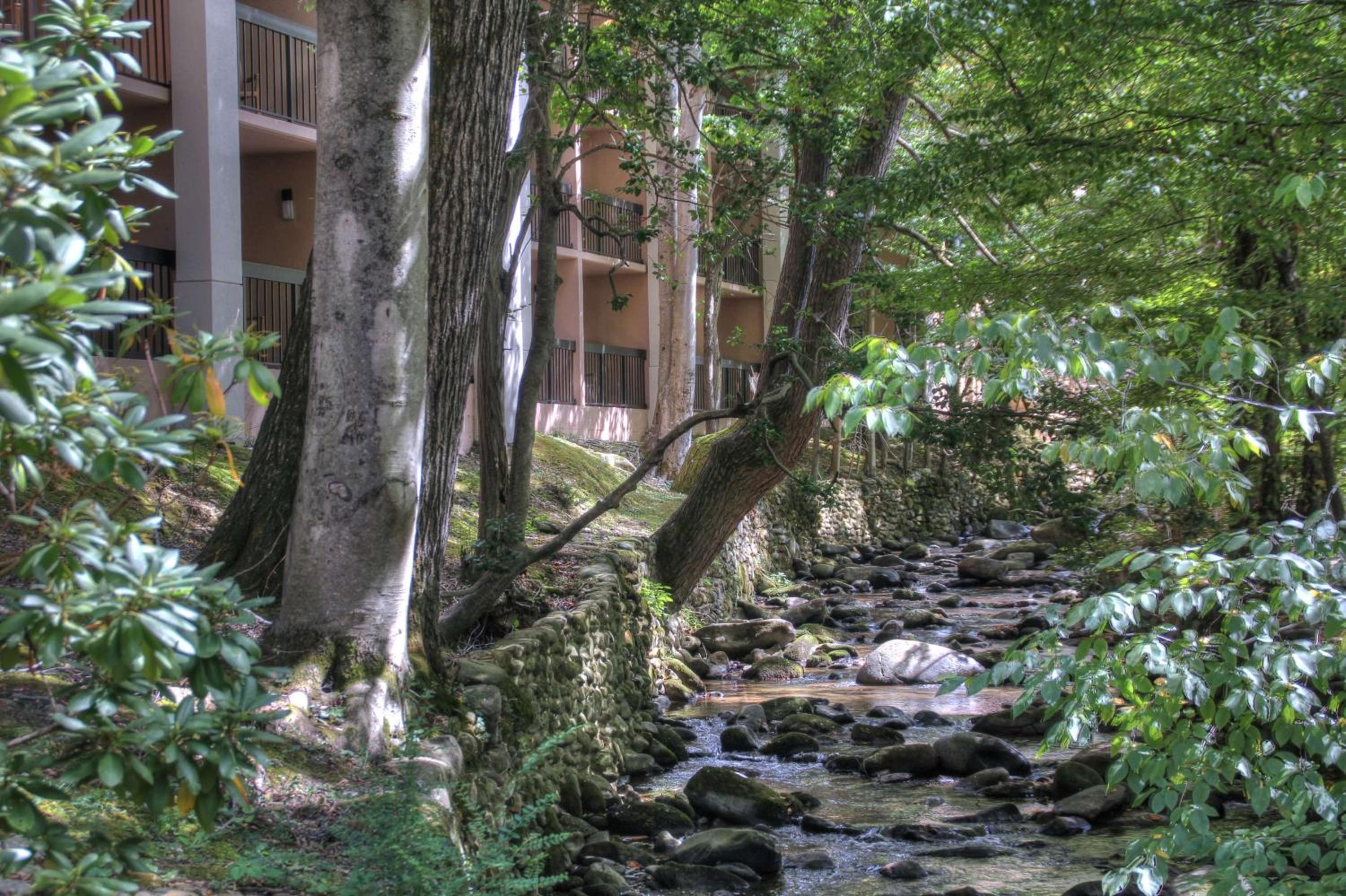 Hampton Inn Gatlinburg, Bilde 24