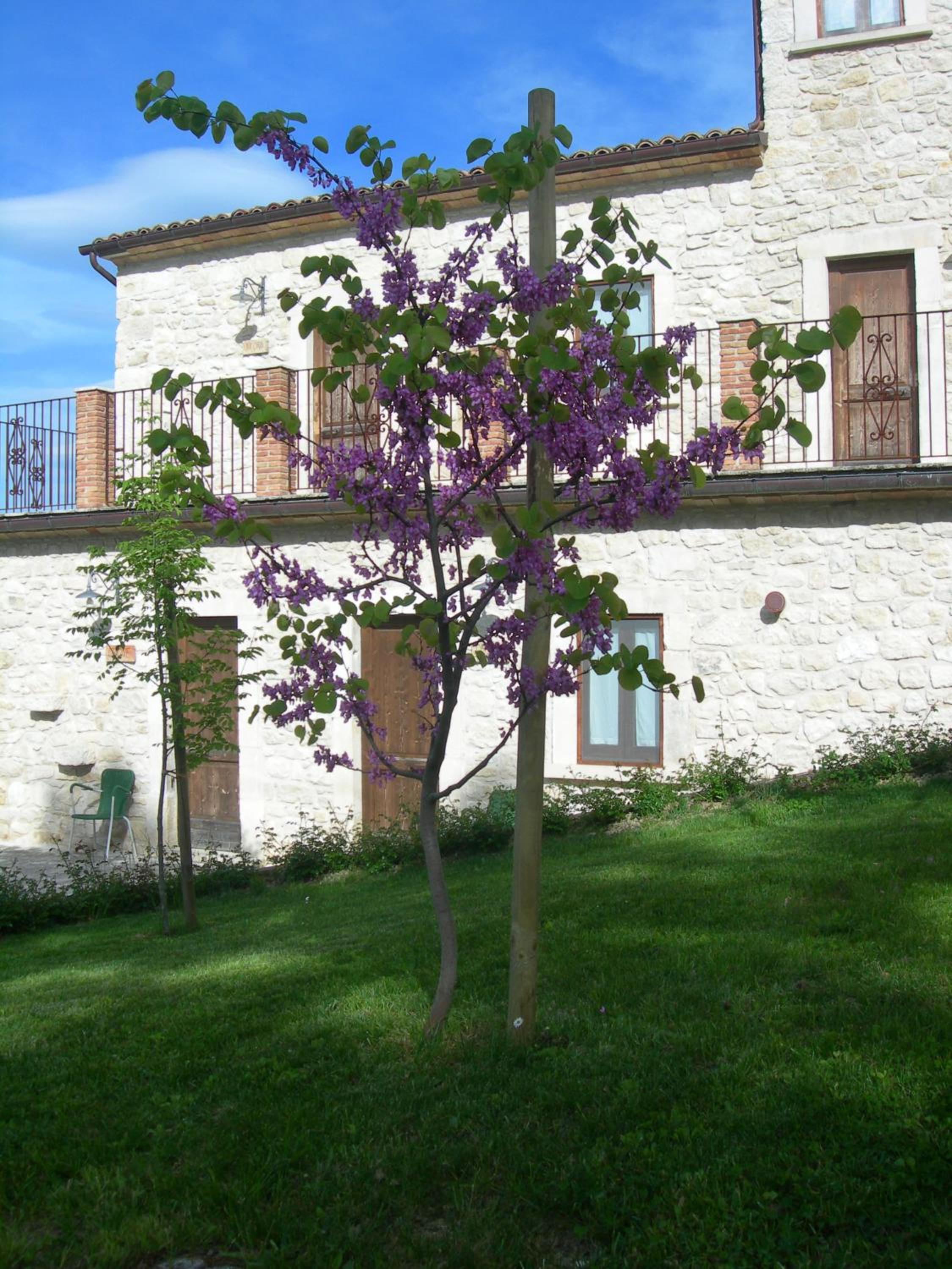 Photo 30