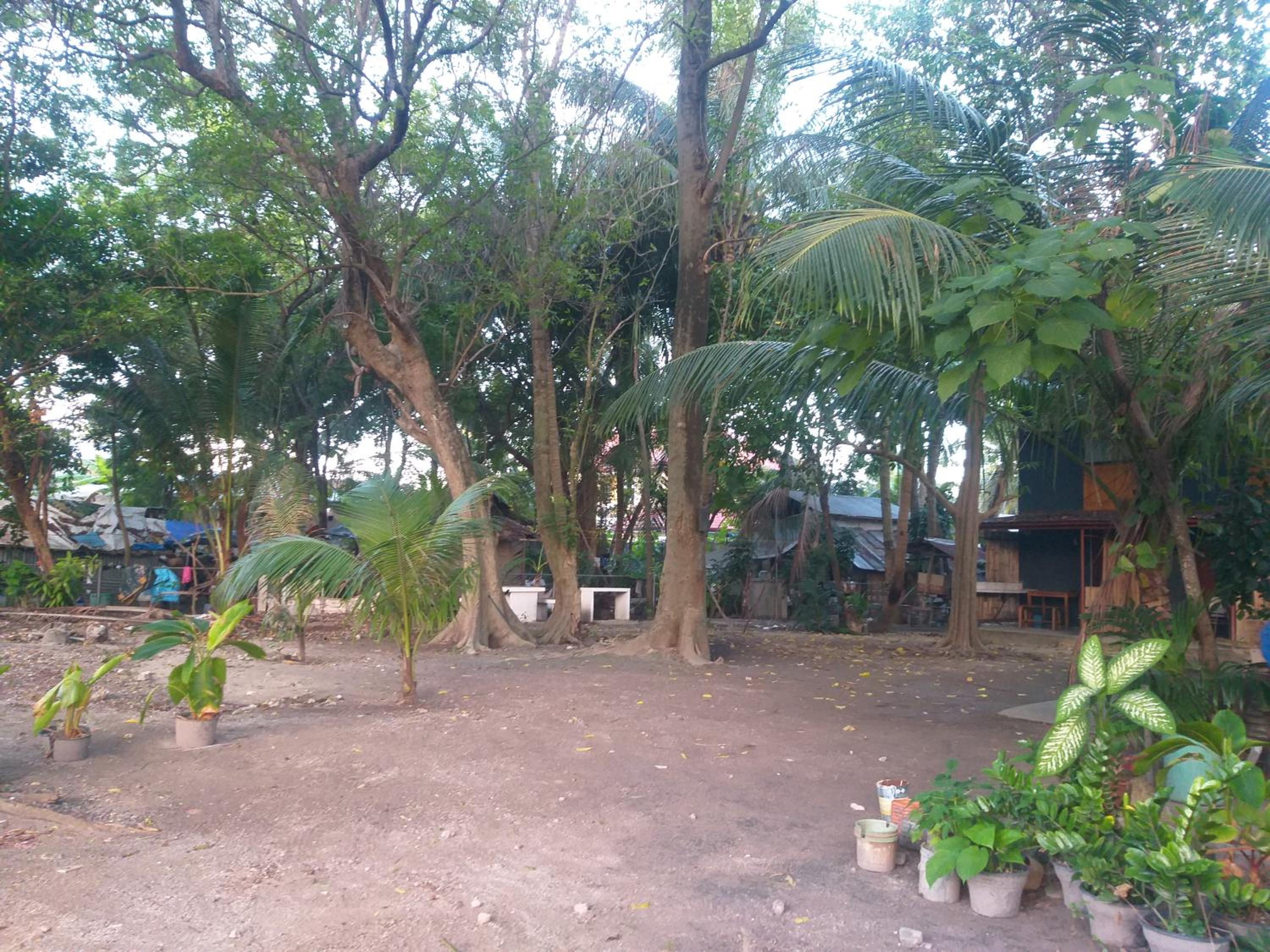 Photo 41