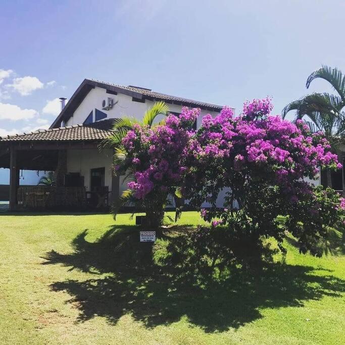Pousada Oasis do Paranapanema - Estadia e Alegria