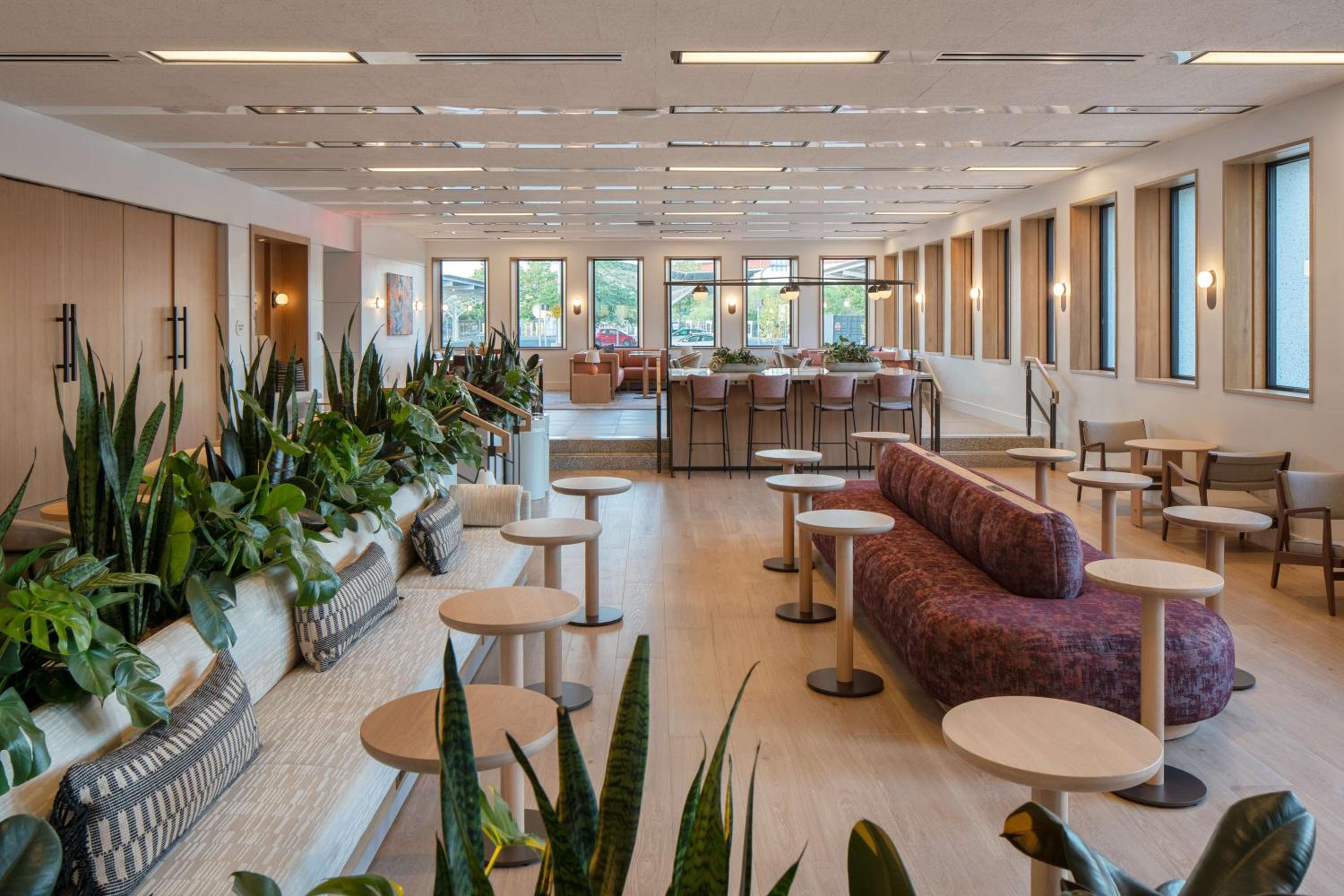 New Haven Vacations - Hotel Marcel New Haven, Tapestry Collection By Hilton - Property Image 40