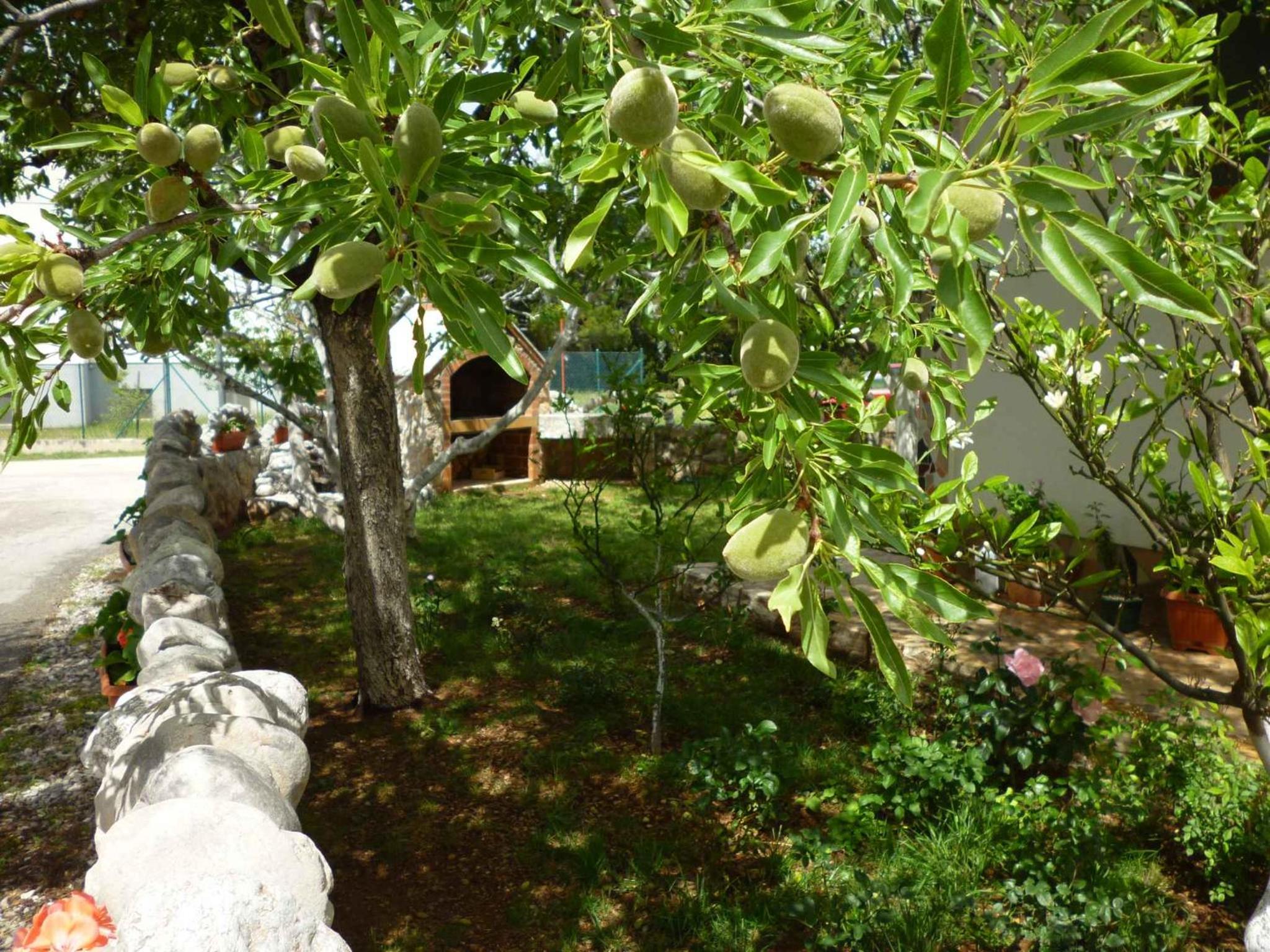Photo 27