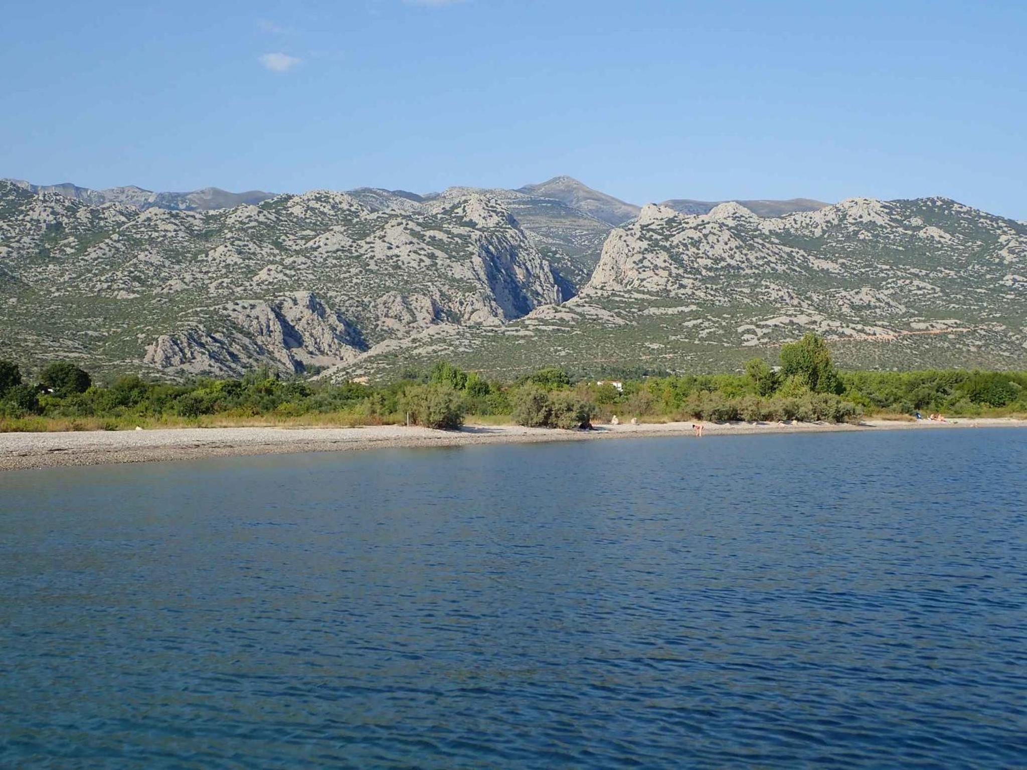 Photo 42