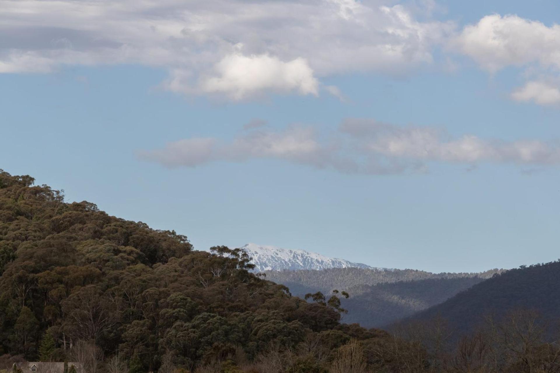 Balcony to Bogong - modern house ten minute stroll to town