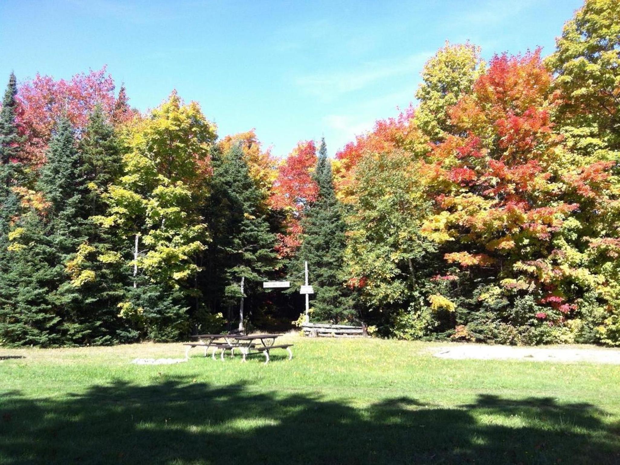 Glenview Cottages