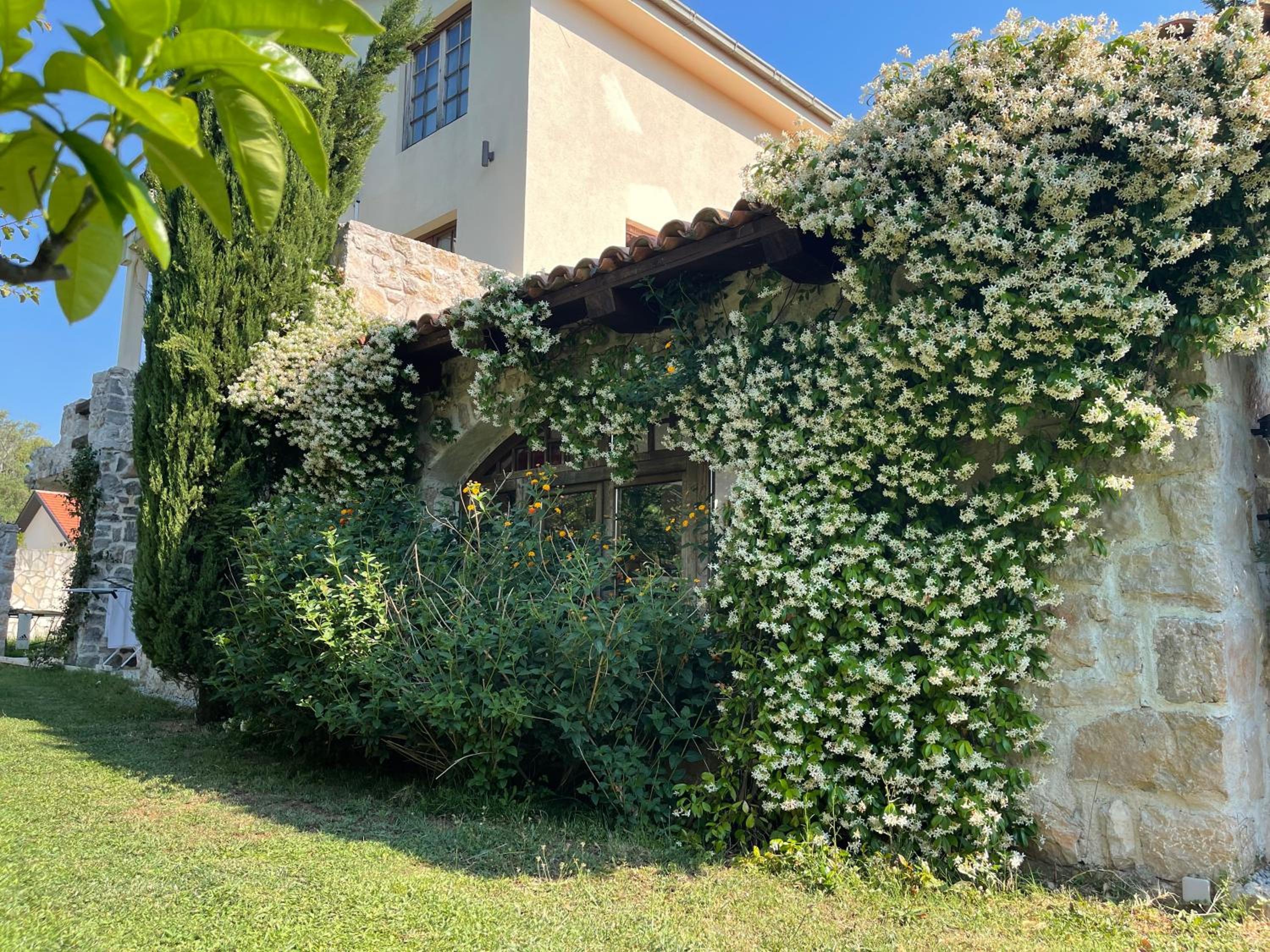 Villa Mediterranea view 5