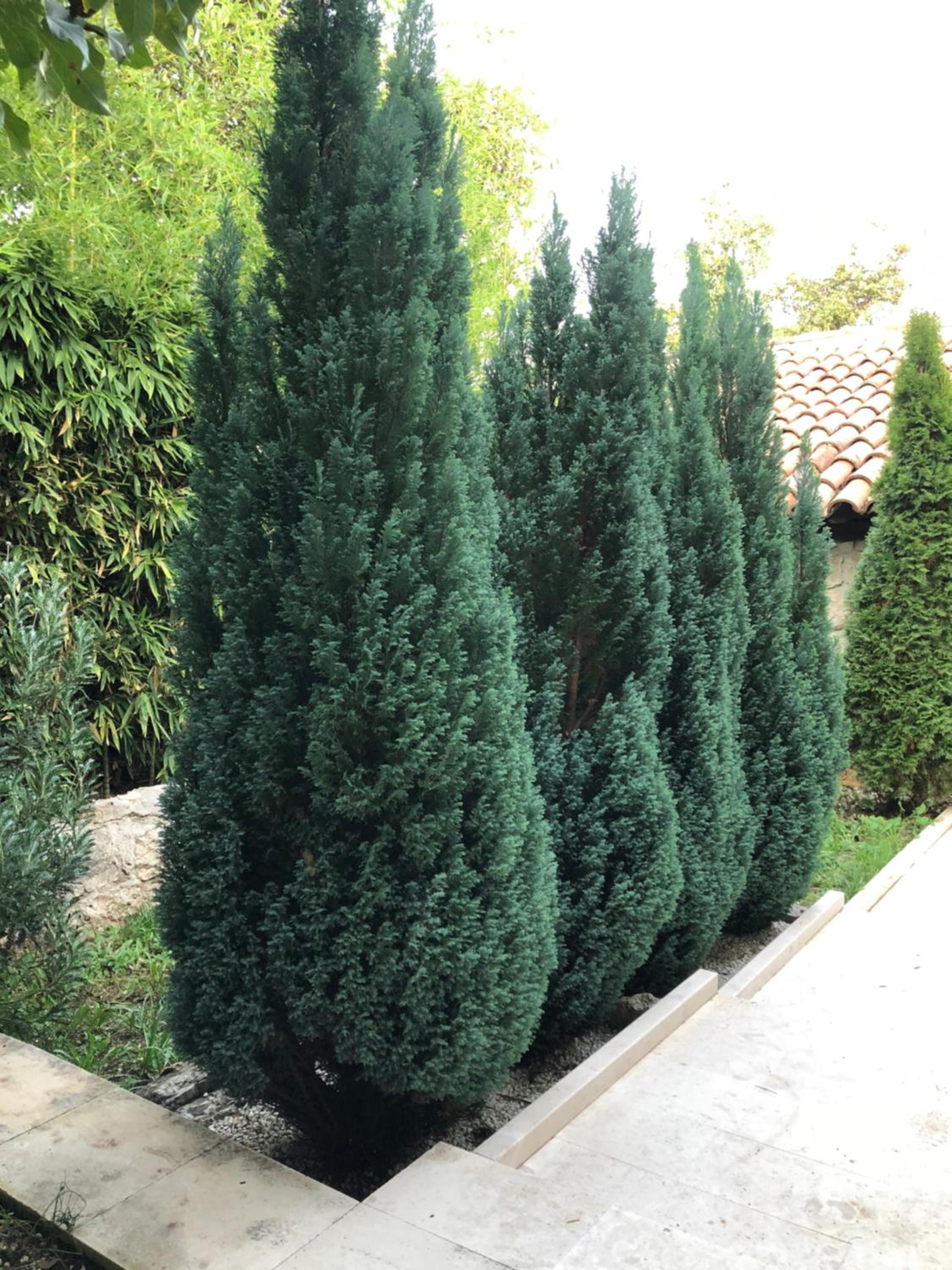 Photo 49