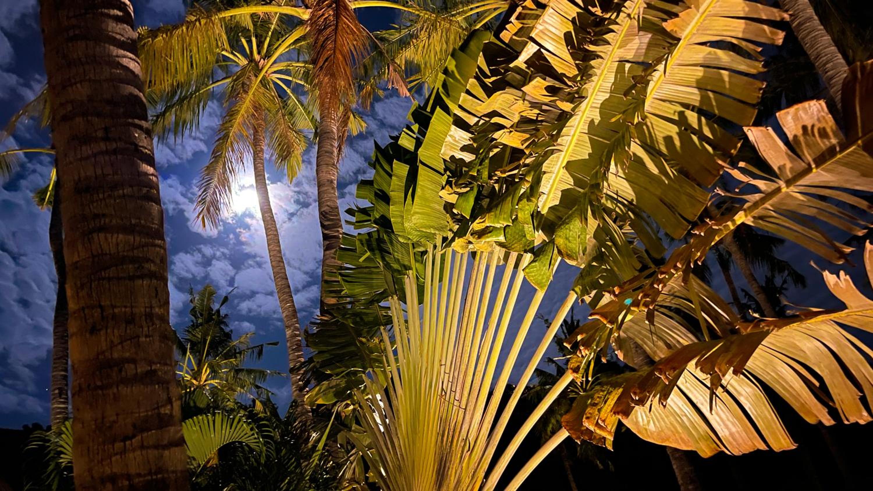 Palm Garden Amed Beach & Spa Resort Bali