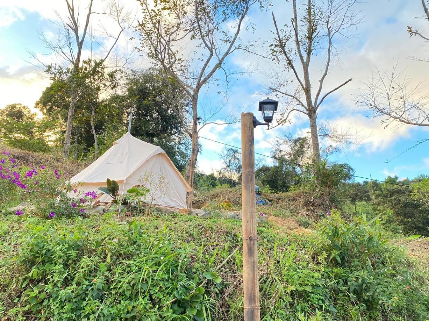 COI NGUON FARM GLAM Mang Den view 4