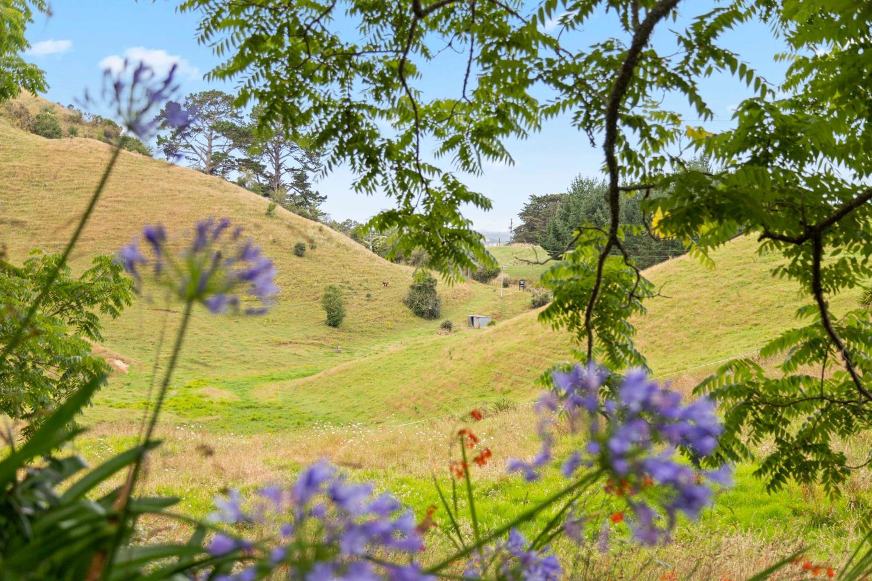 Raglan Country Lodge