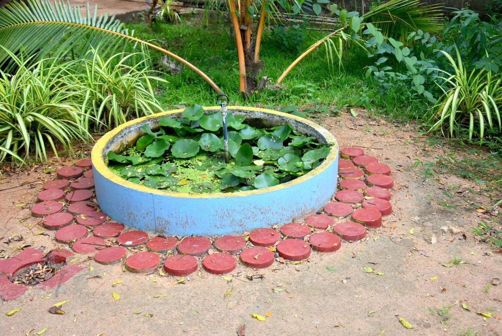 Senasuma Holiday Bungalow Anuradhapura view 5