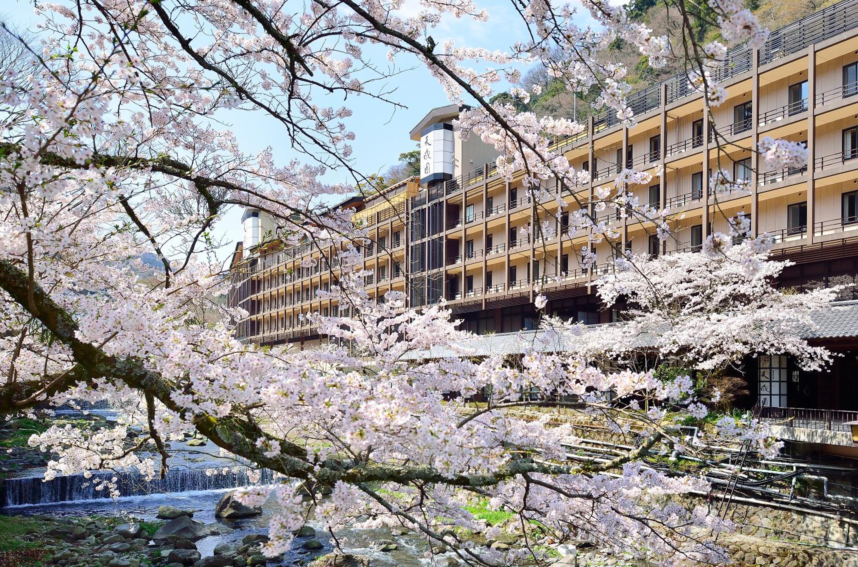 Tenseien