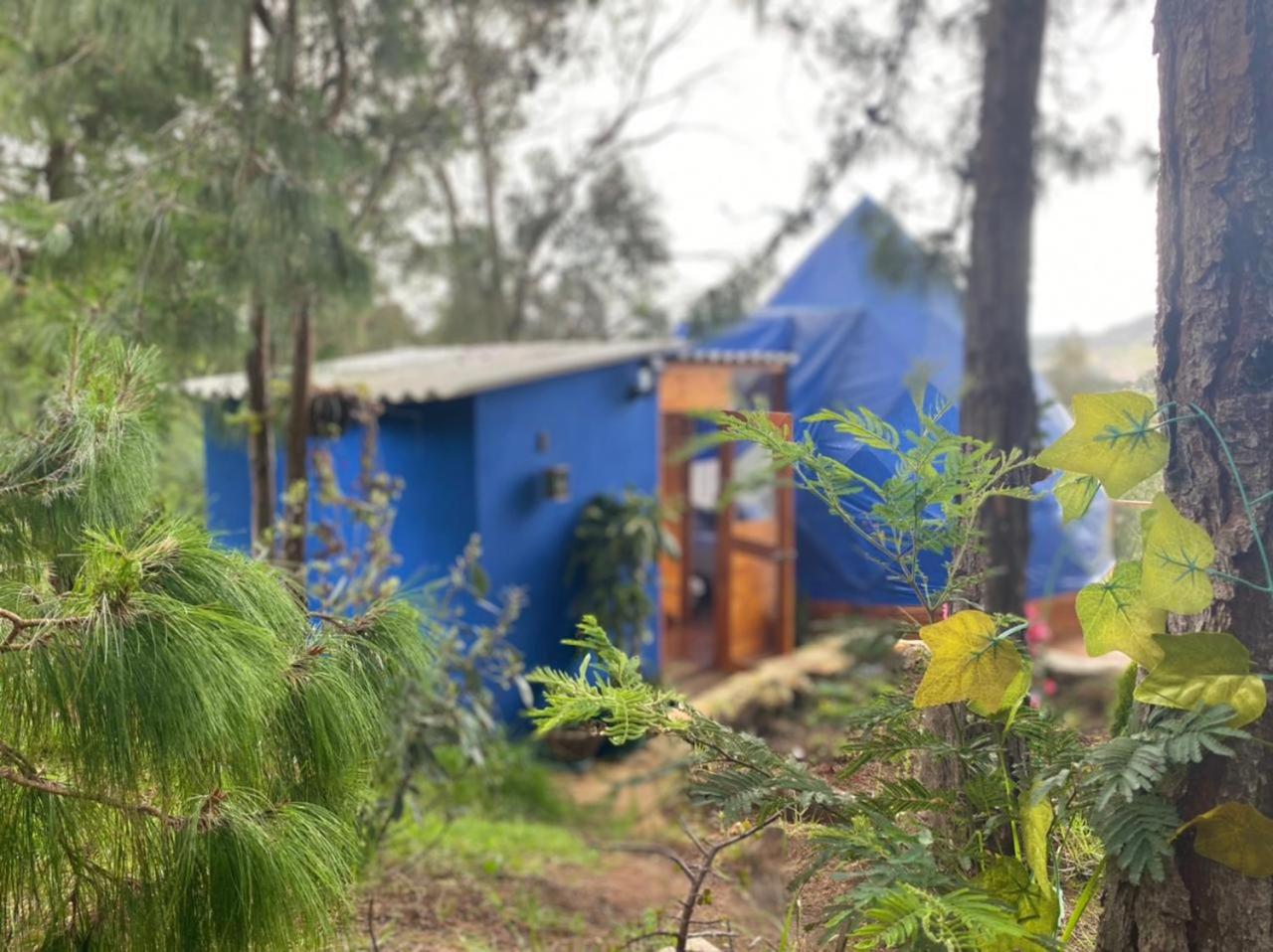 Glamping blue.