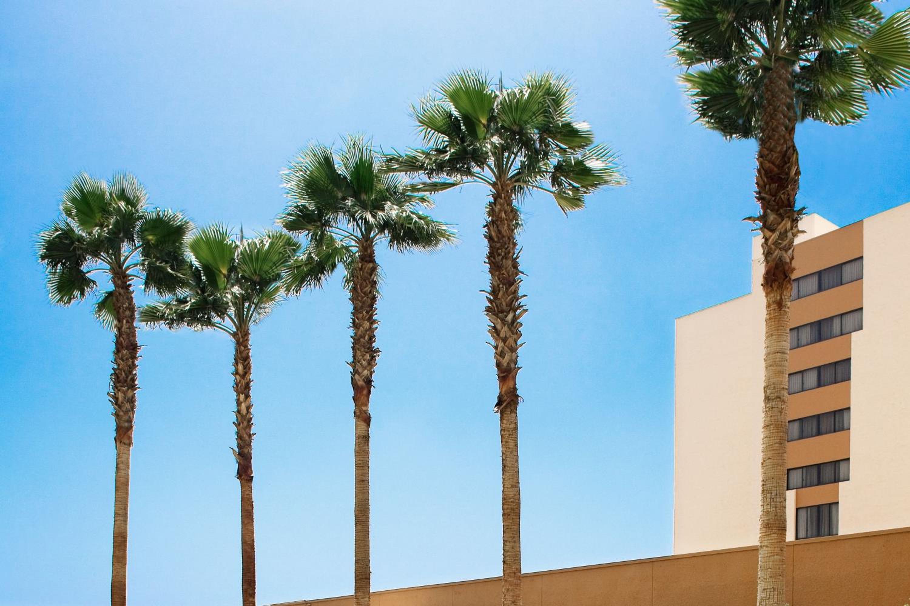Burbank Vacations - Los Angeles Marriott Burbank Airport - Property Image 15