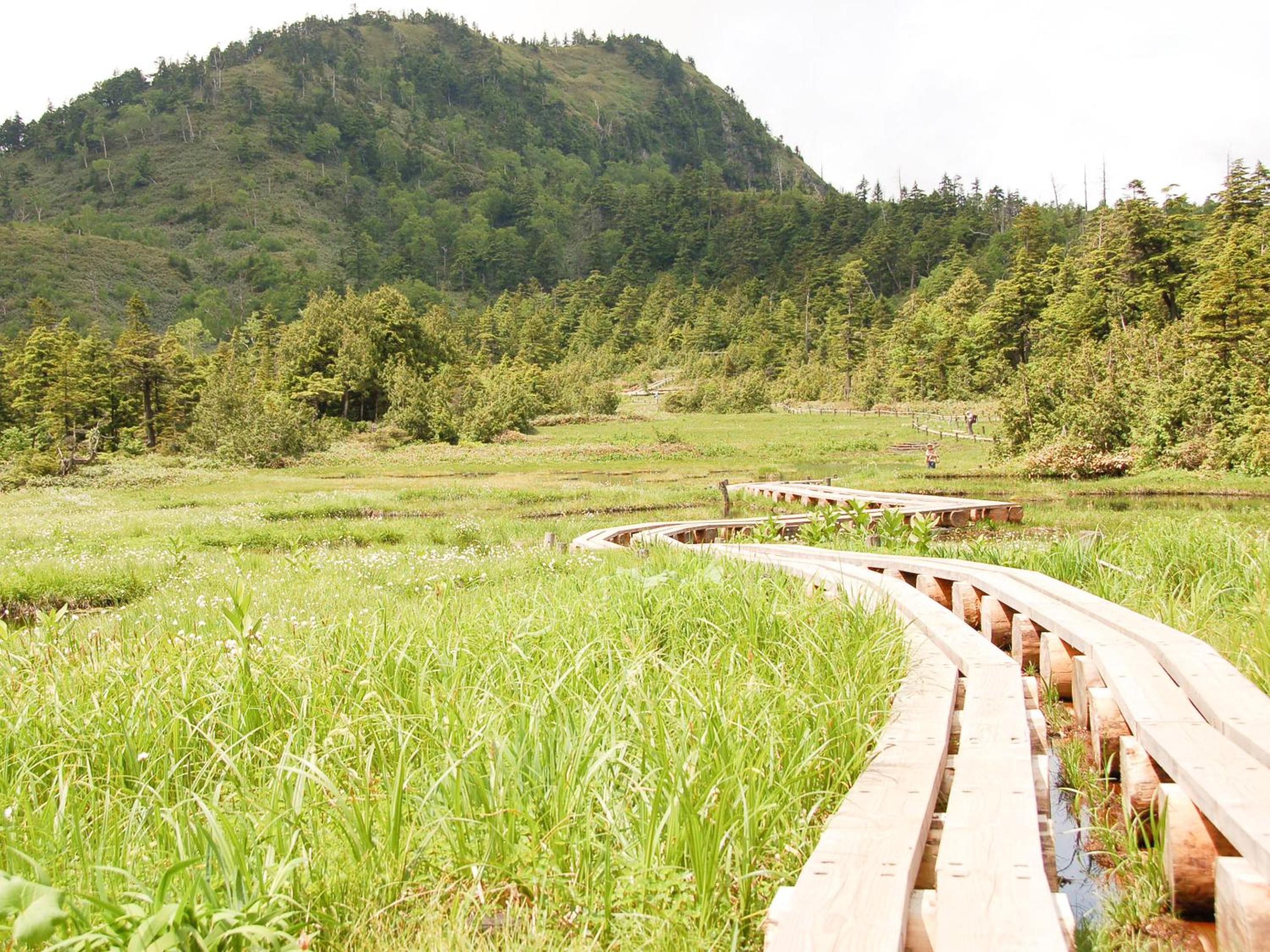 Shiga Kogen Lodge