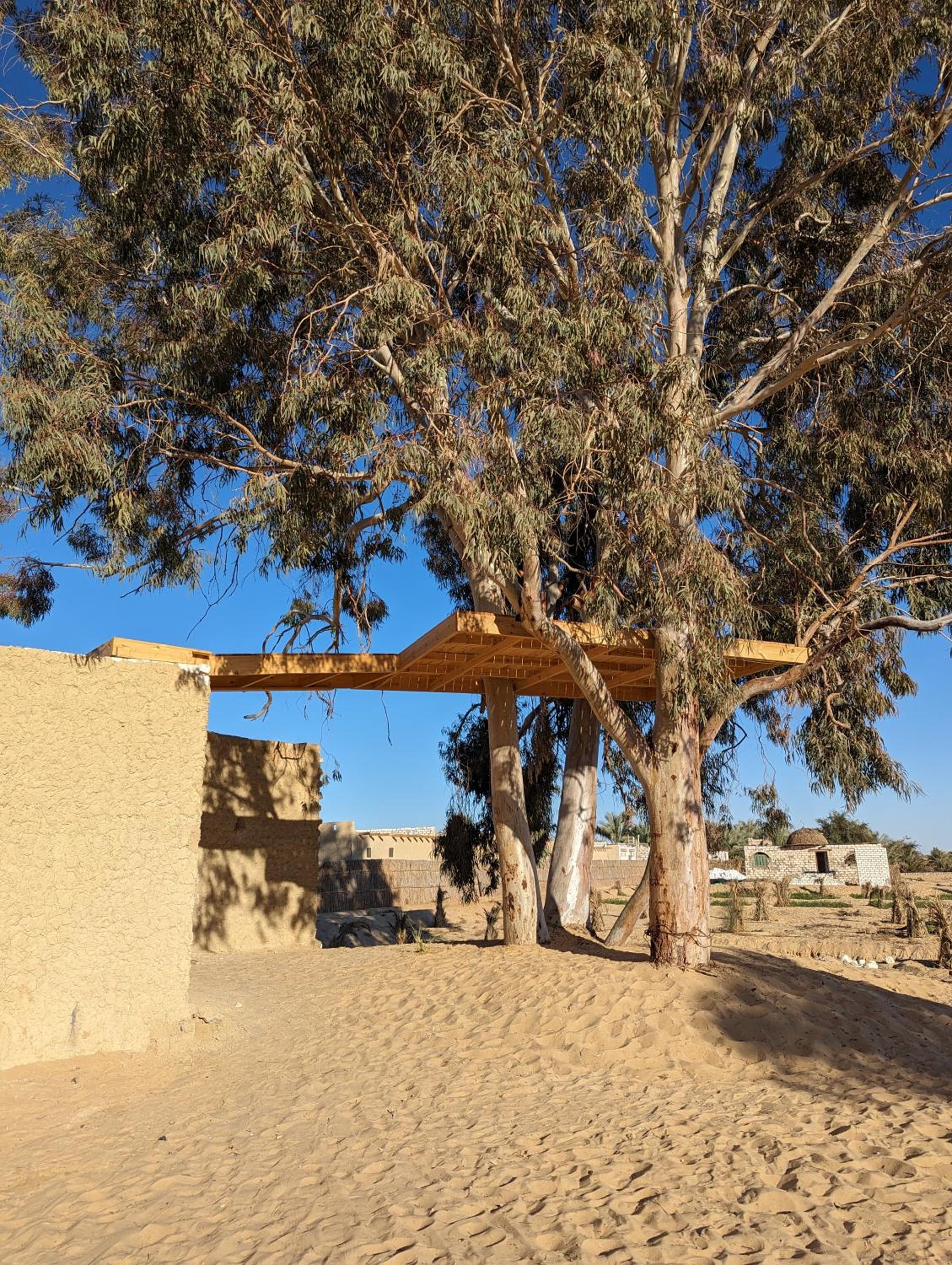 Cafour House Siwa - Hot Spring view 5