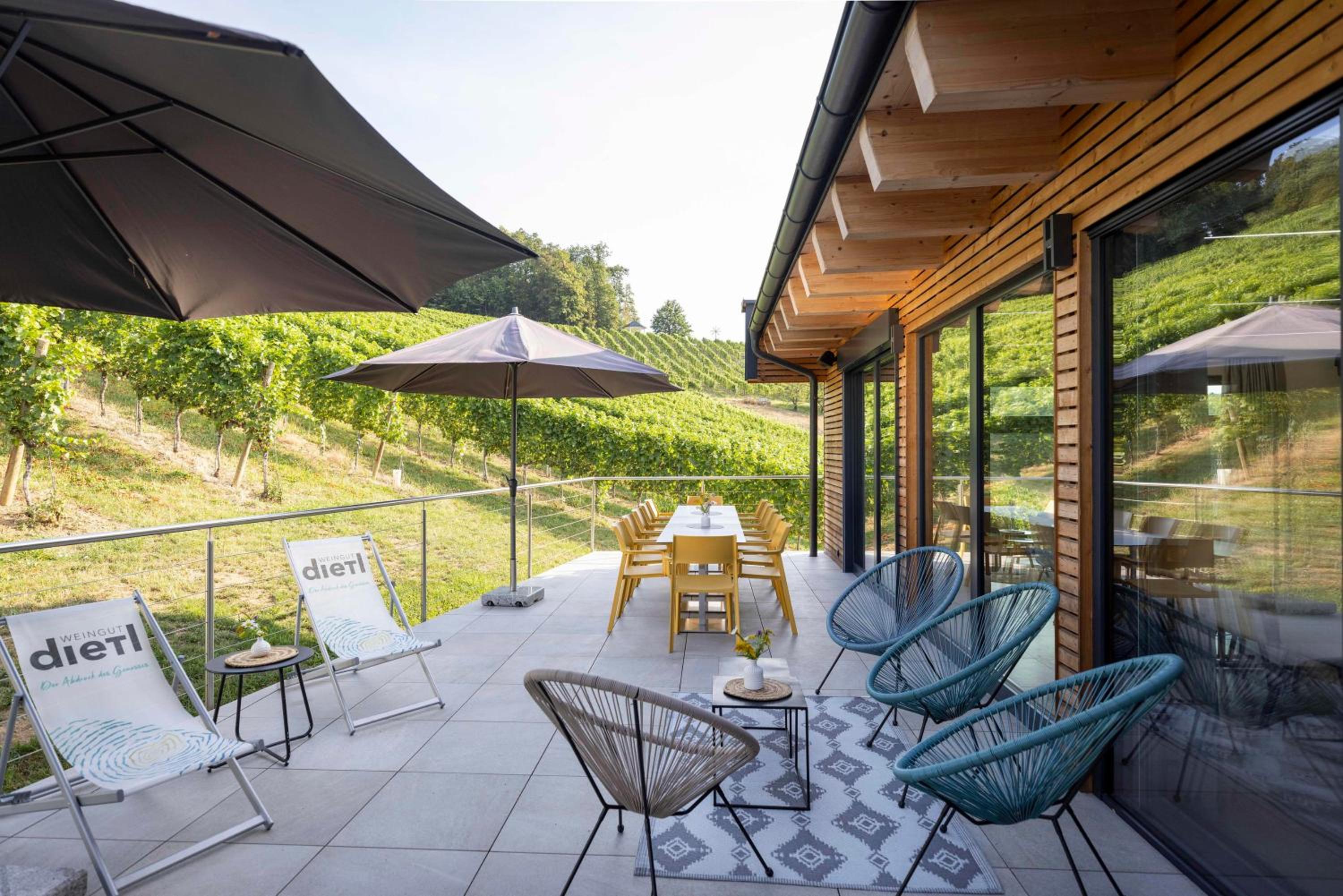 Weingut Dietl view 5