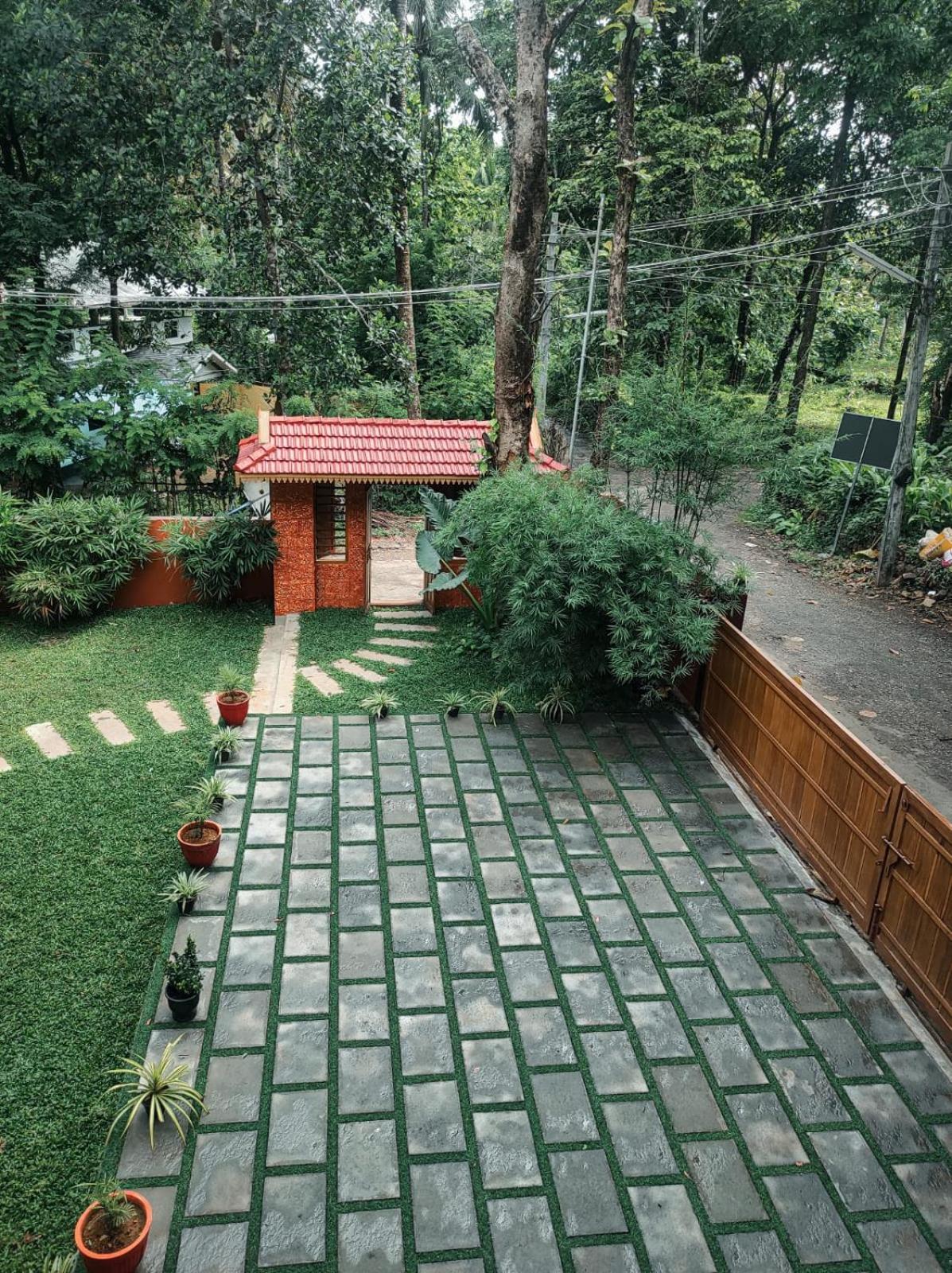 Photo 6
