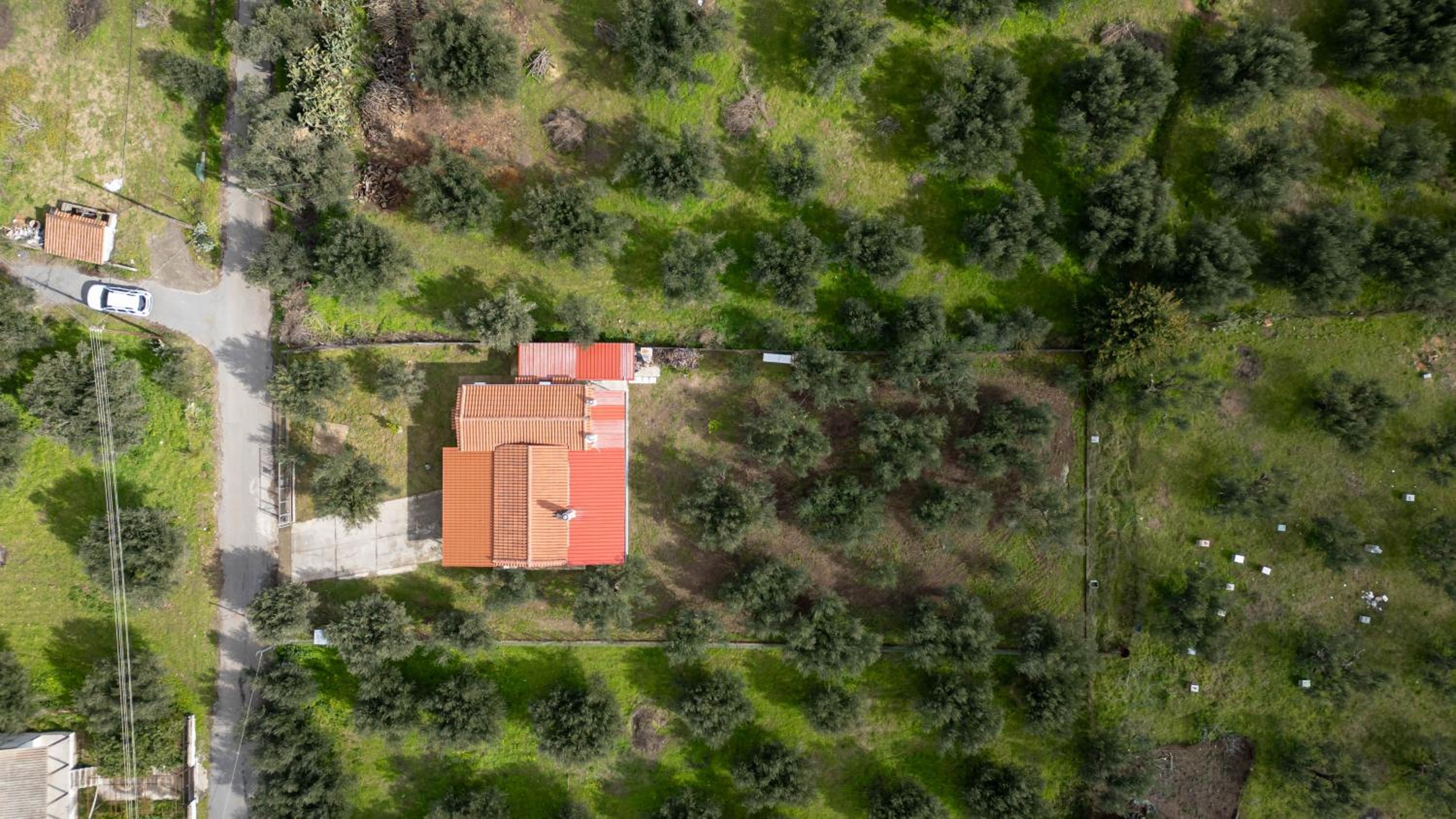 Olive Grove Getaway