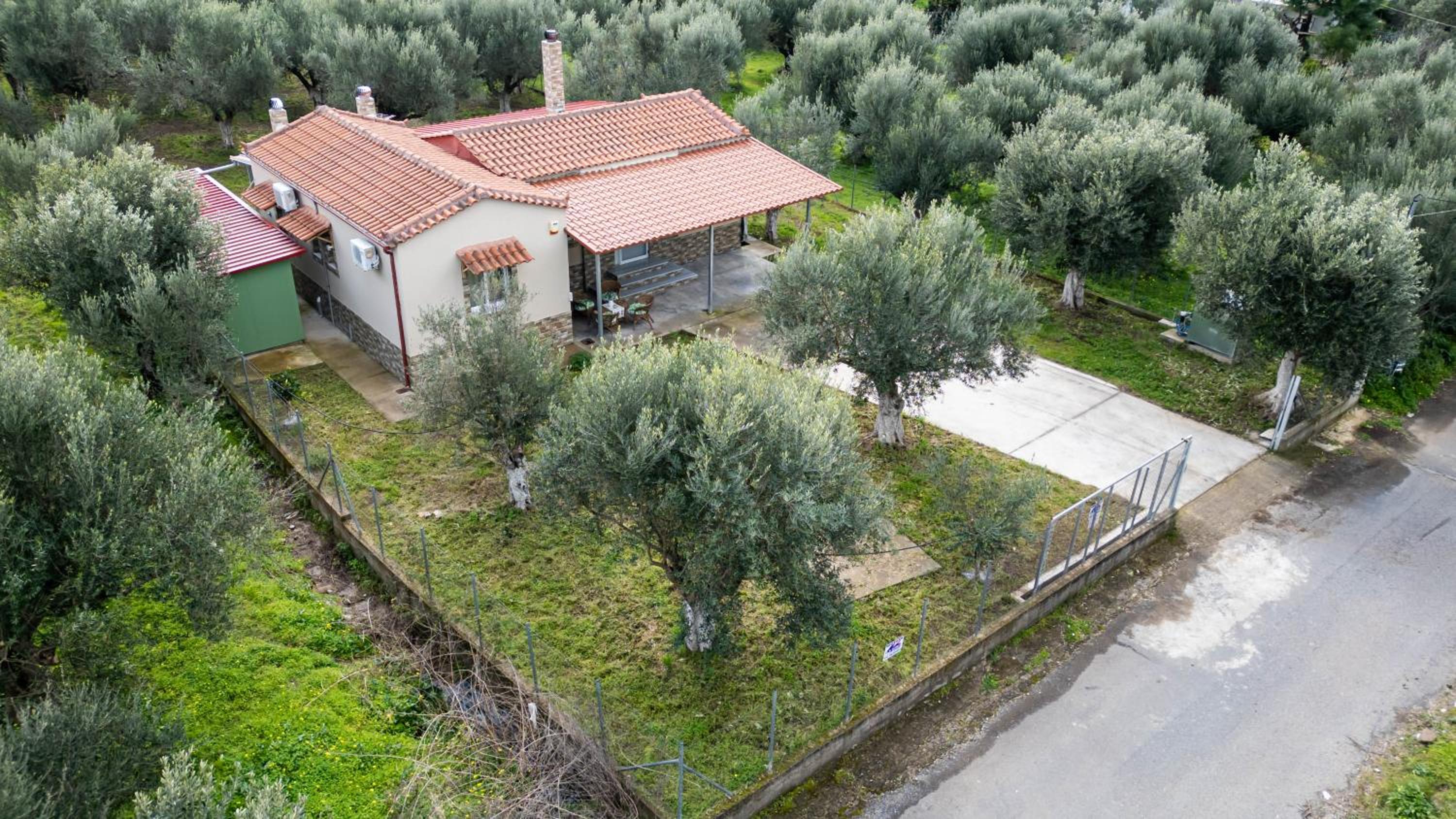 Olive Grove Getaway