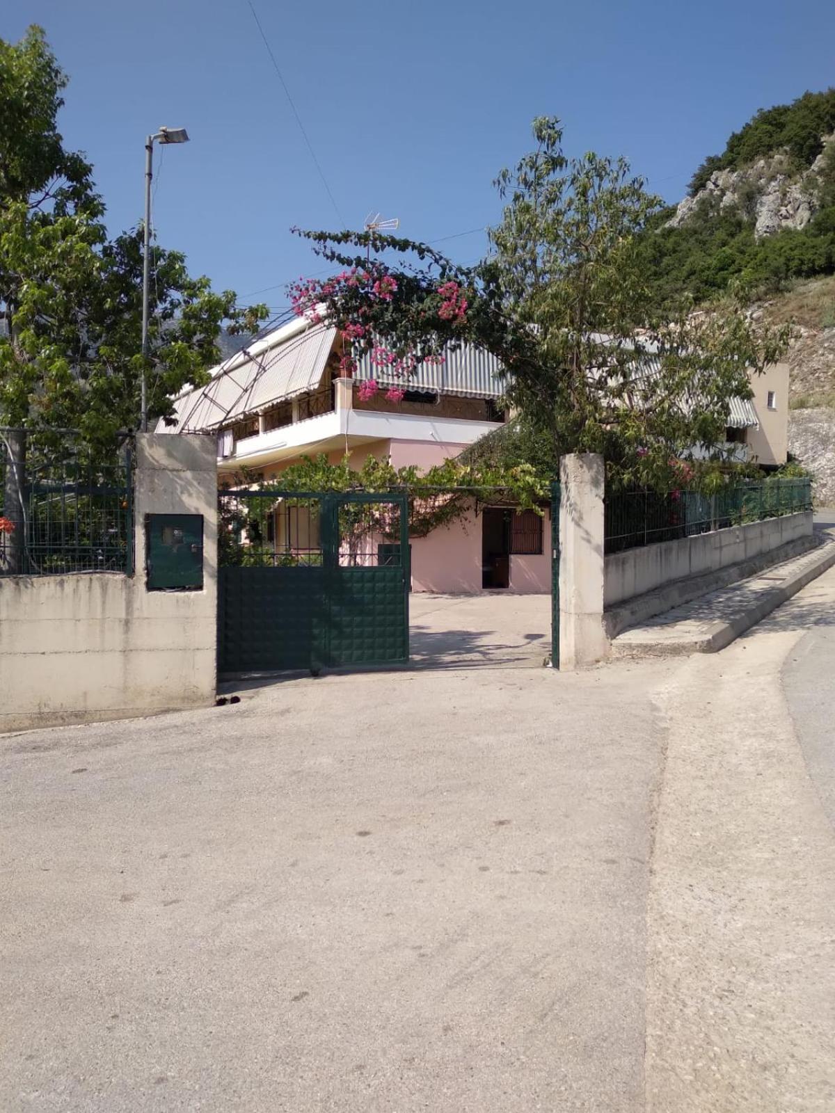 Oasis Hostel