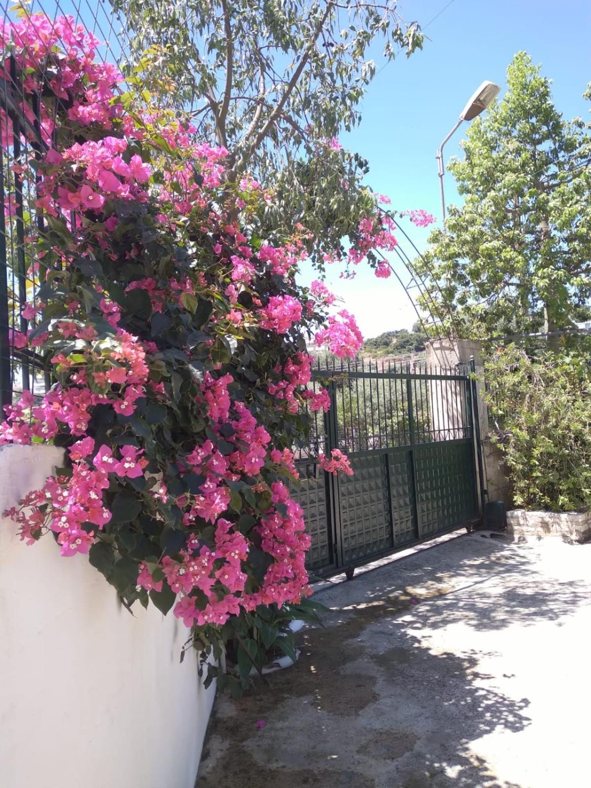 Oasis Hostel