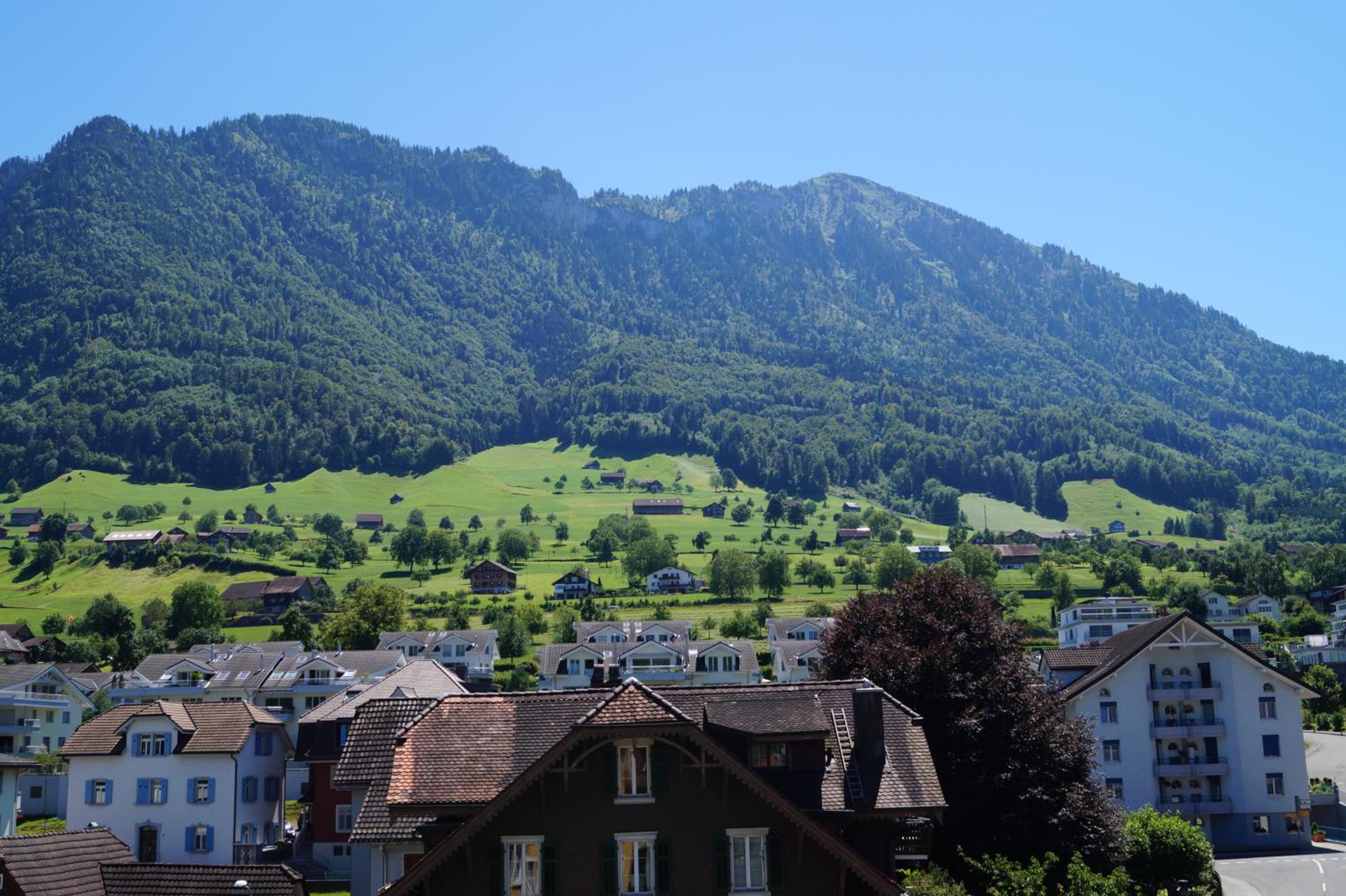 Rigiblick am See