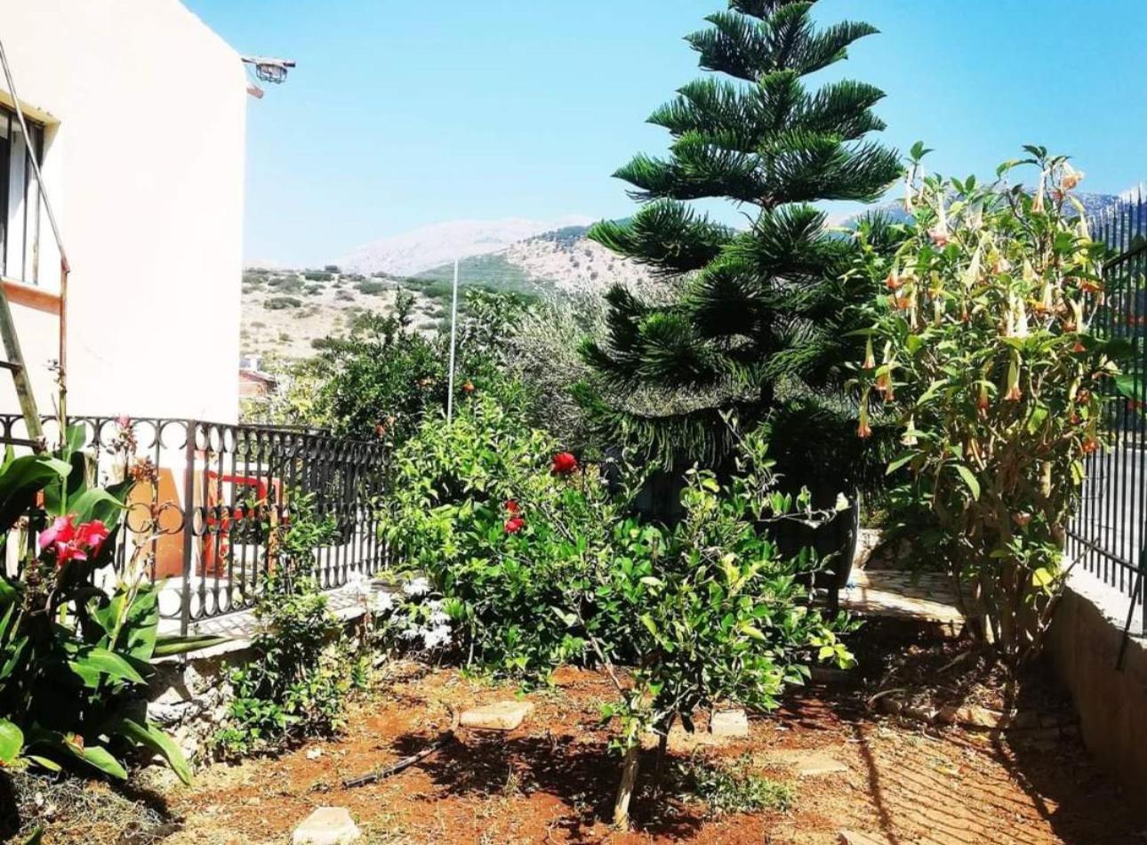 Oasis Hostel