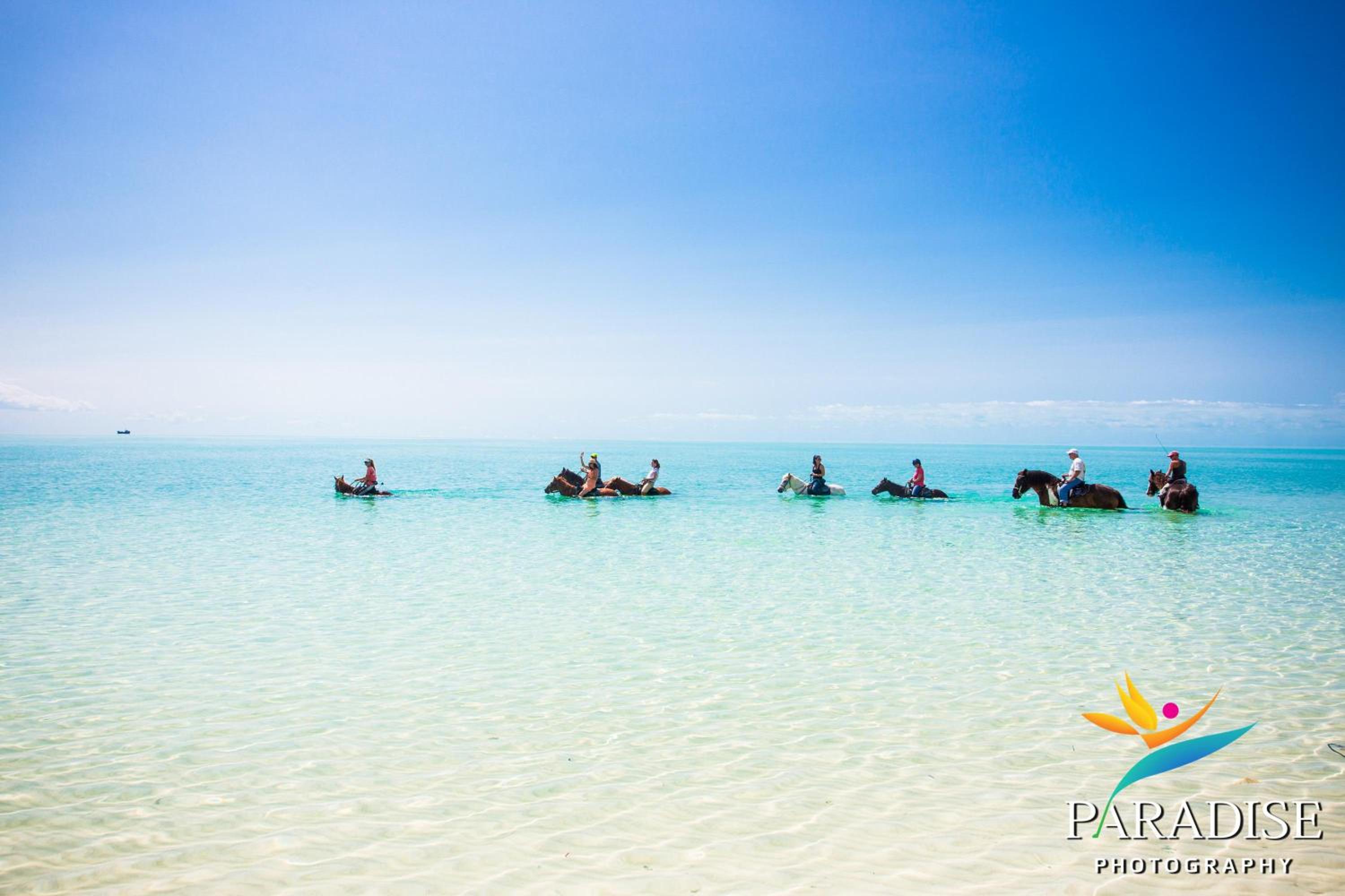 Kokomo Botanical Resort - Caribbean Family Cottages