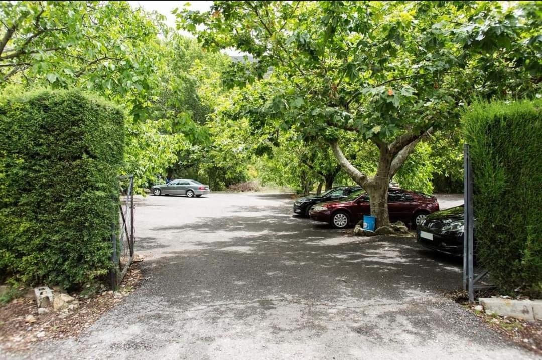 Photo 77