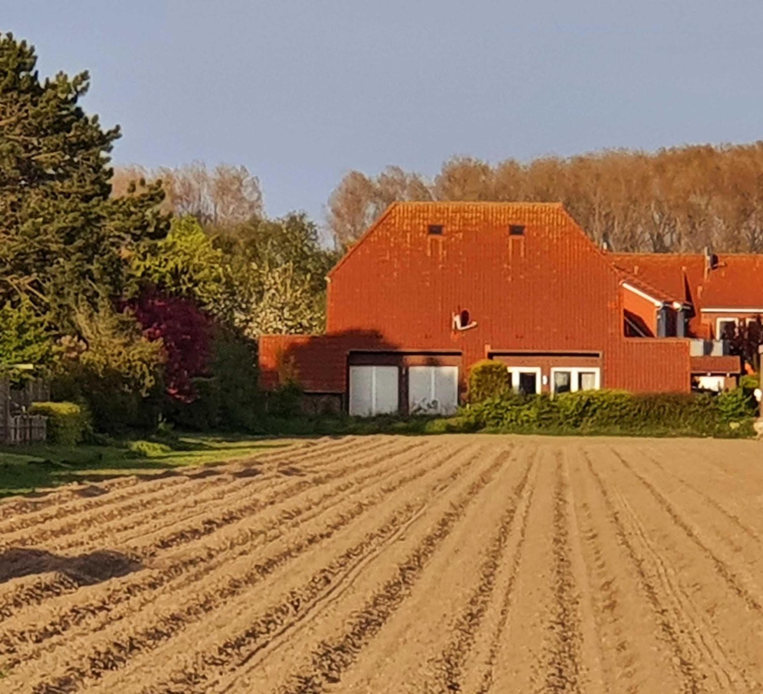 Dreas Huus