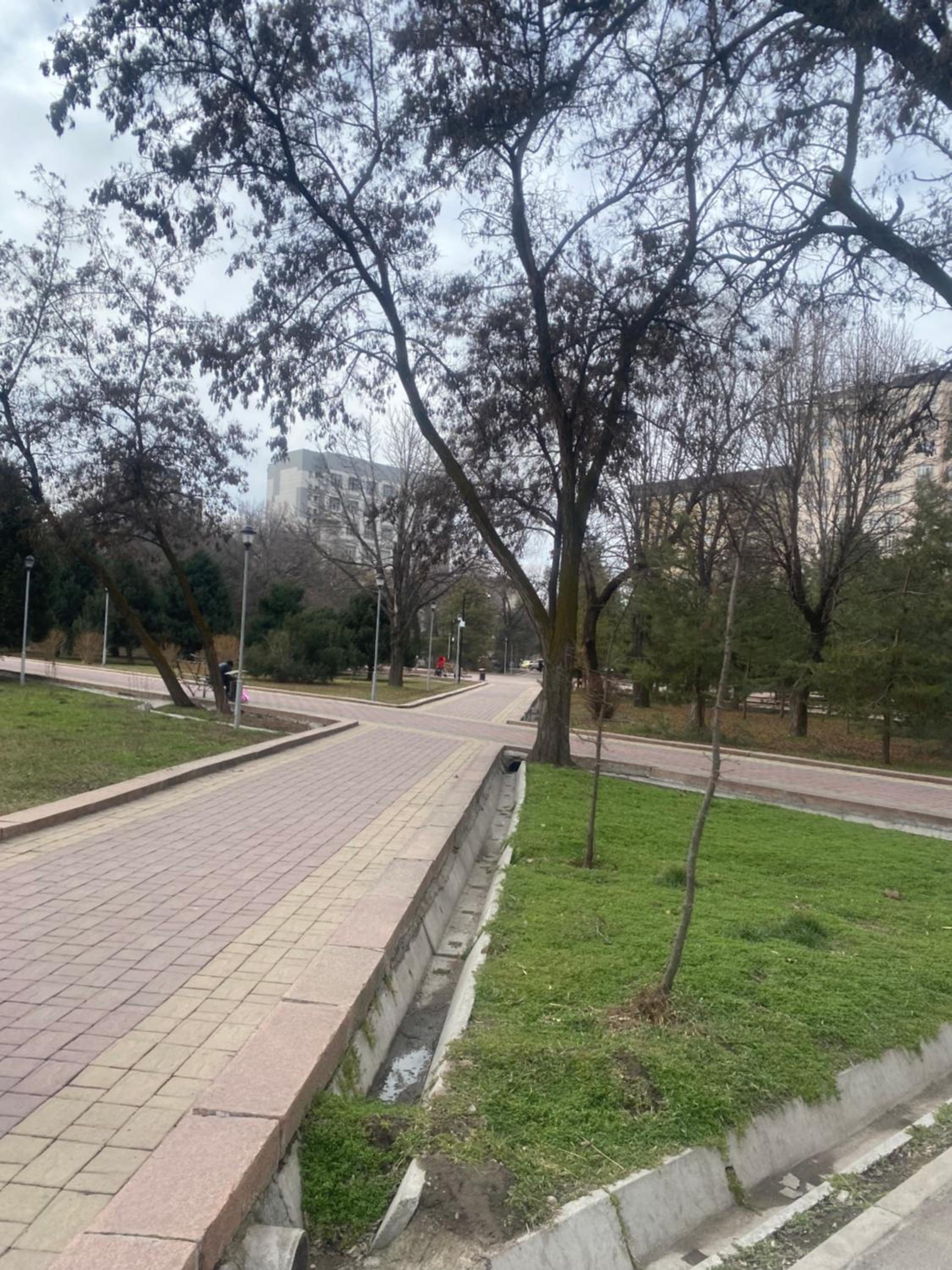 Green park
