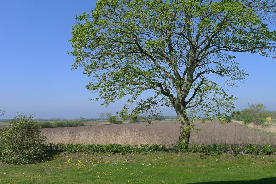 Haus Weitblick