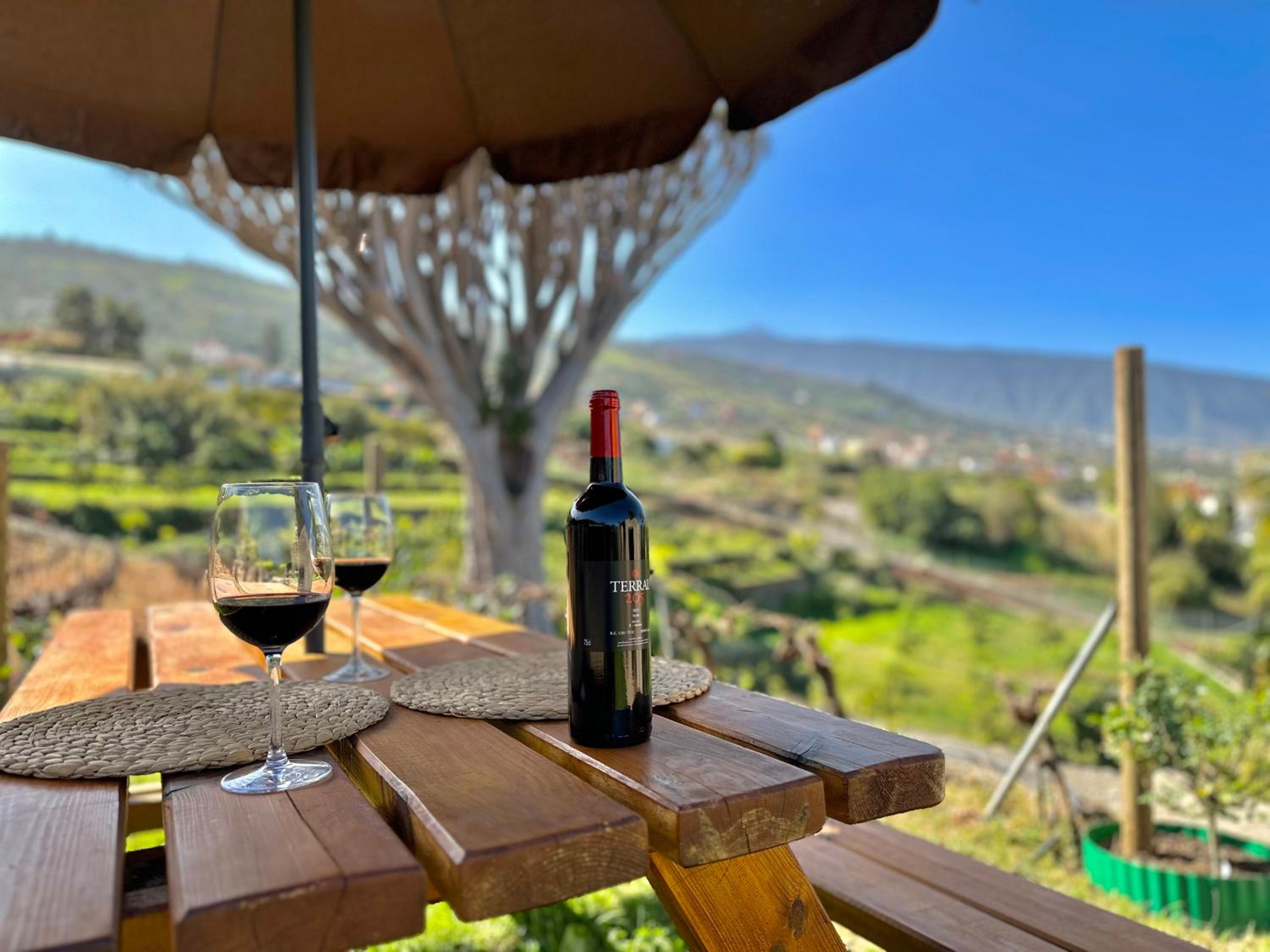 Finca Oscar Burchard