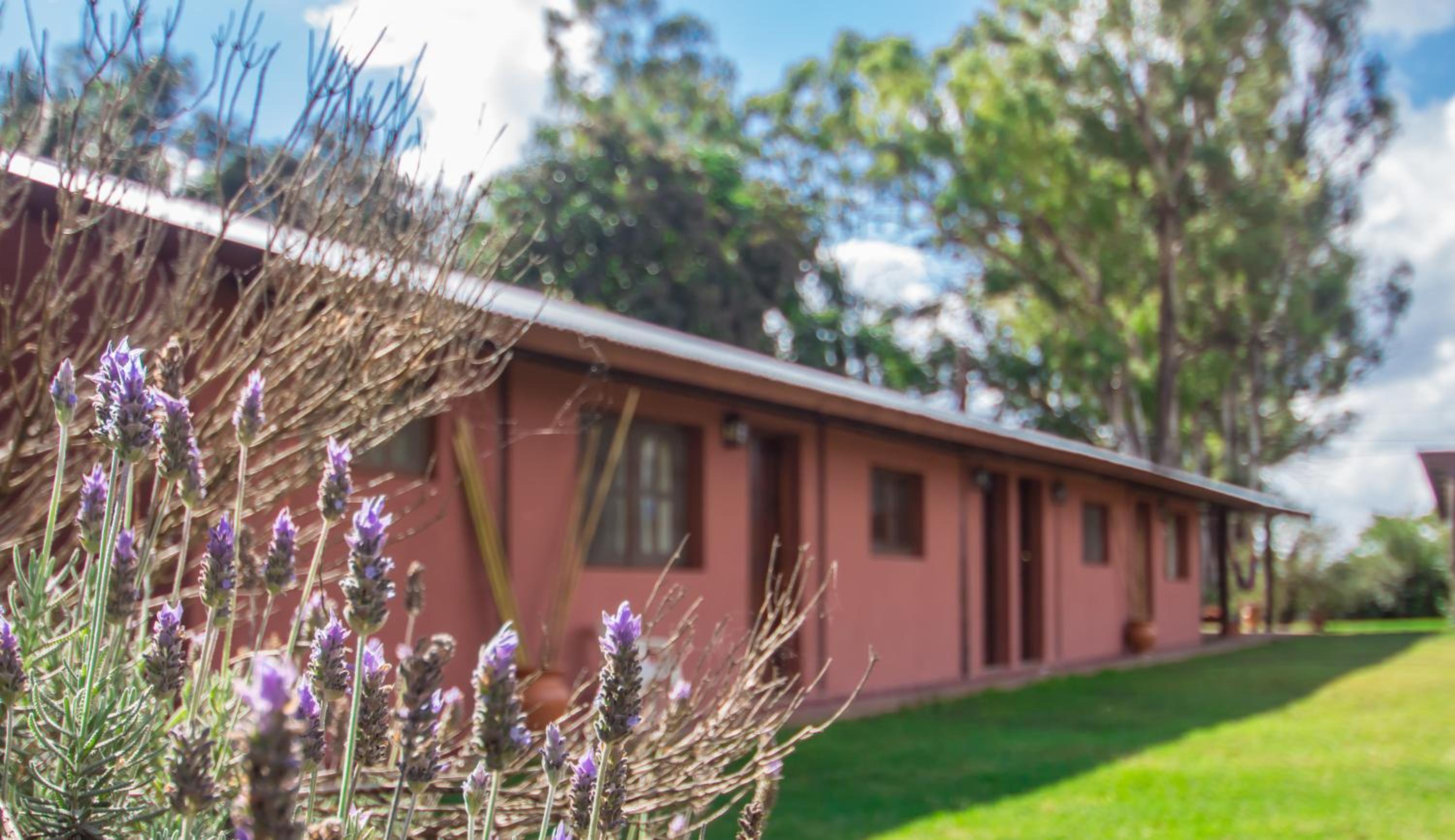 La Casona Cabañas
