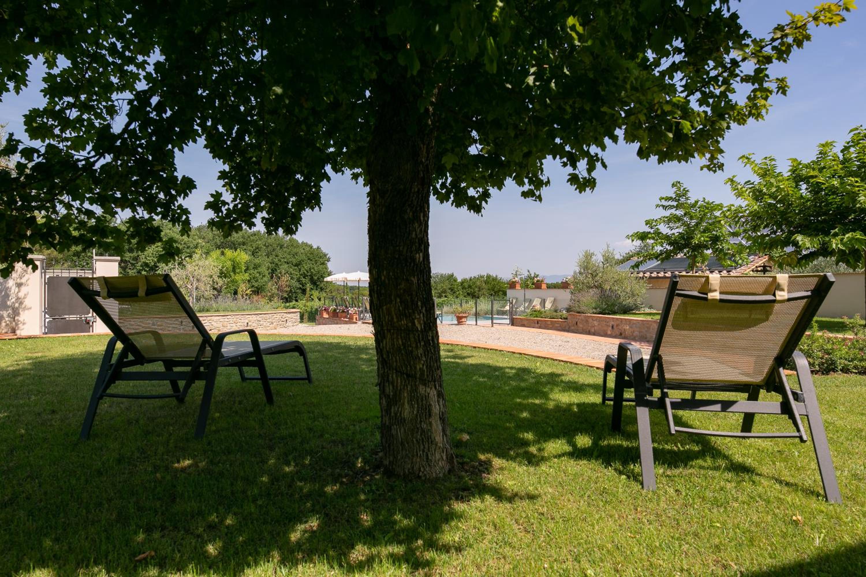 Photo 41