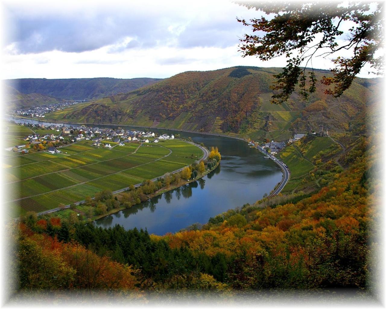 Weingut im Moselkrampen