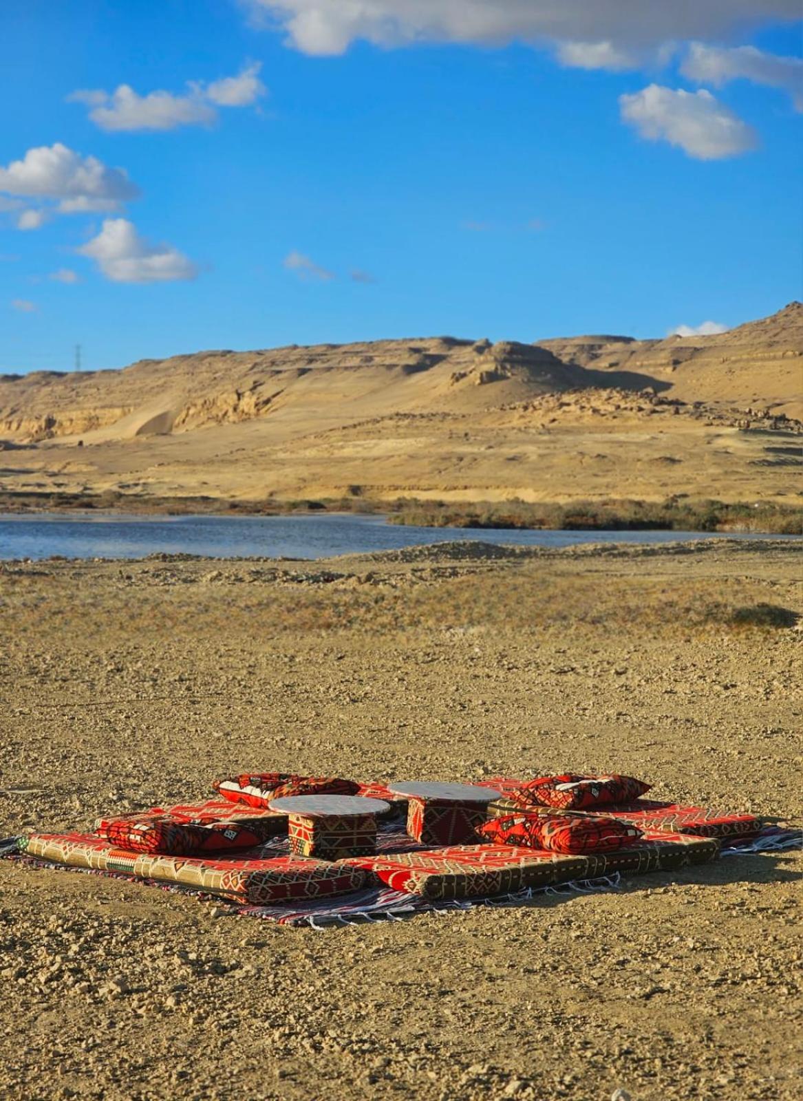 flamingo camp