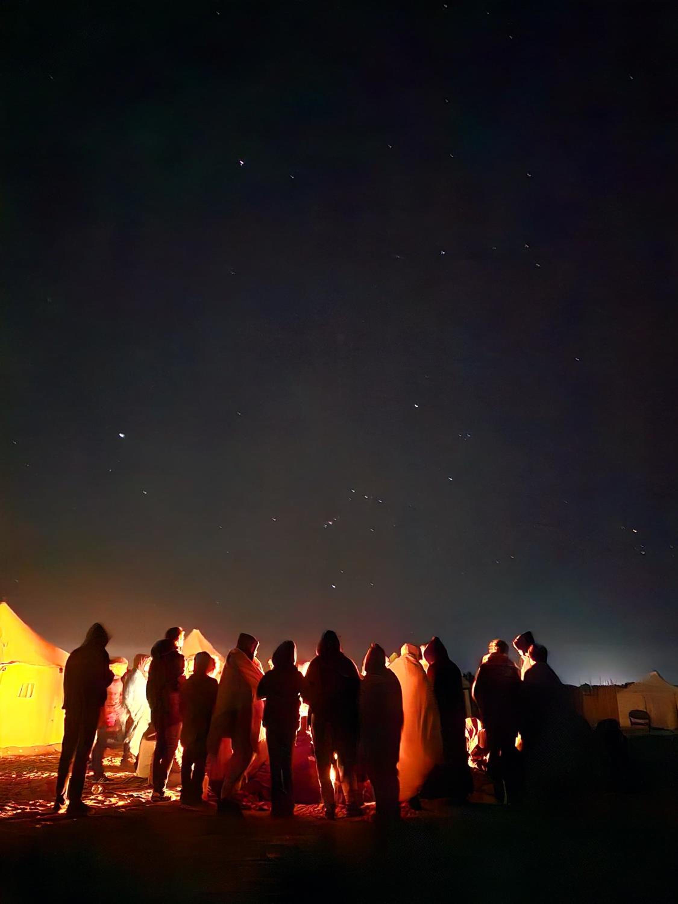 flamingo camp