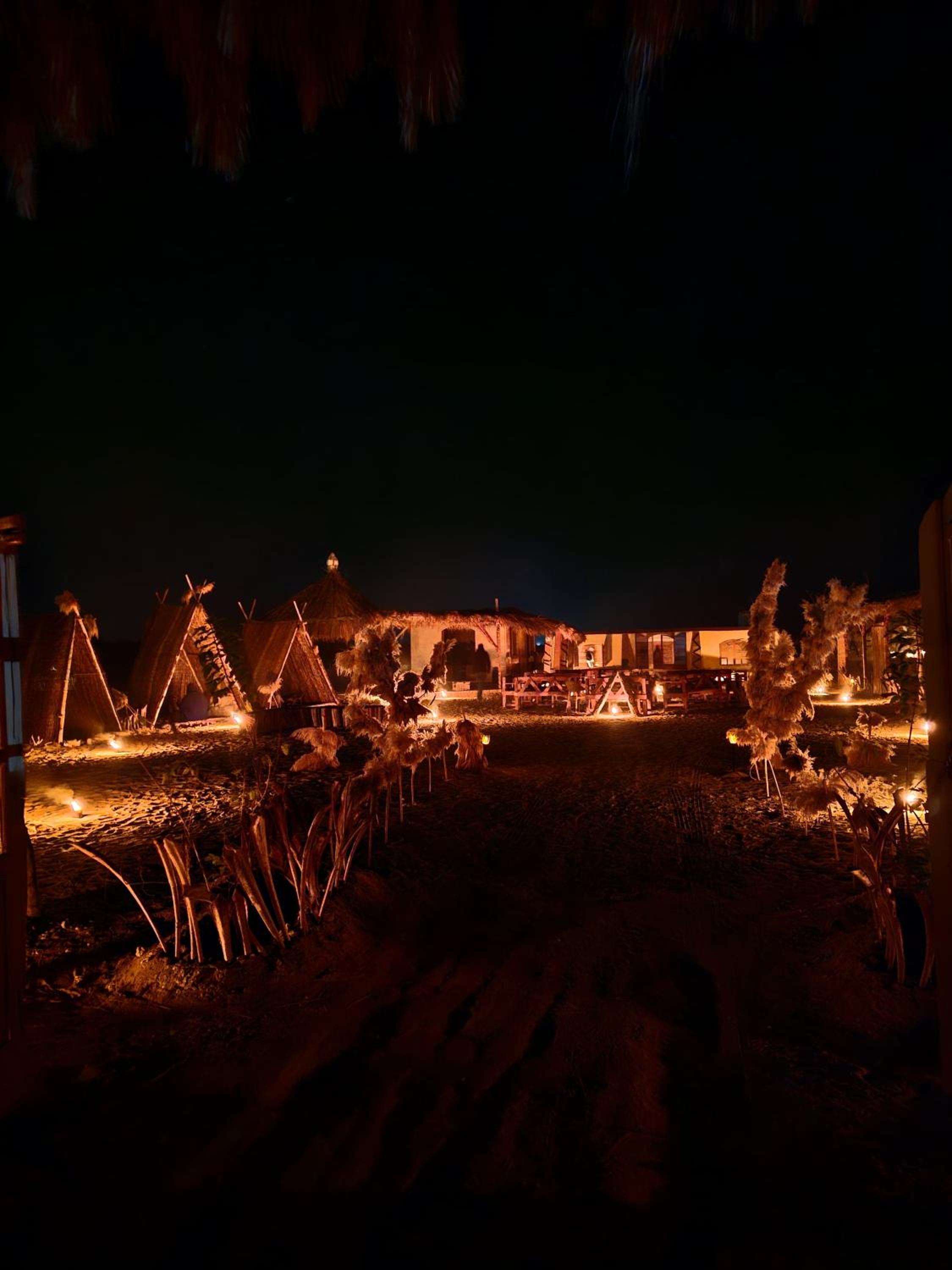 flamingo camp