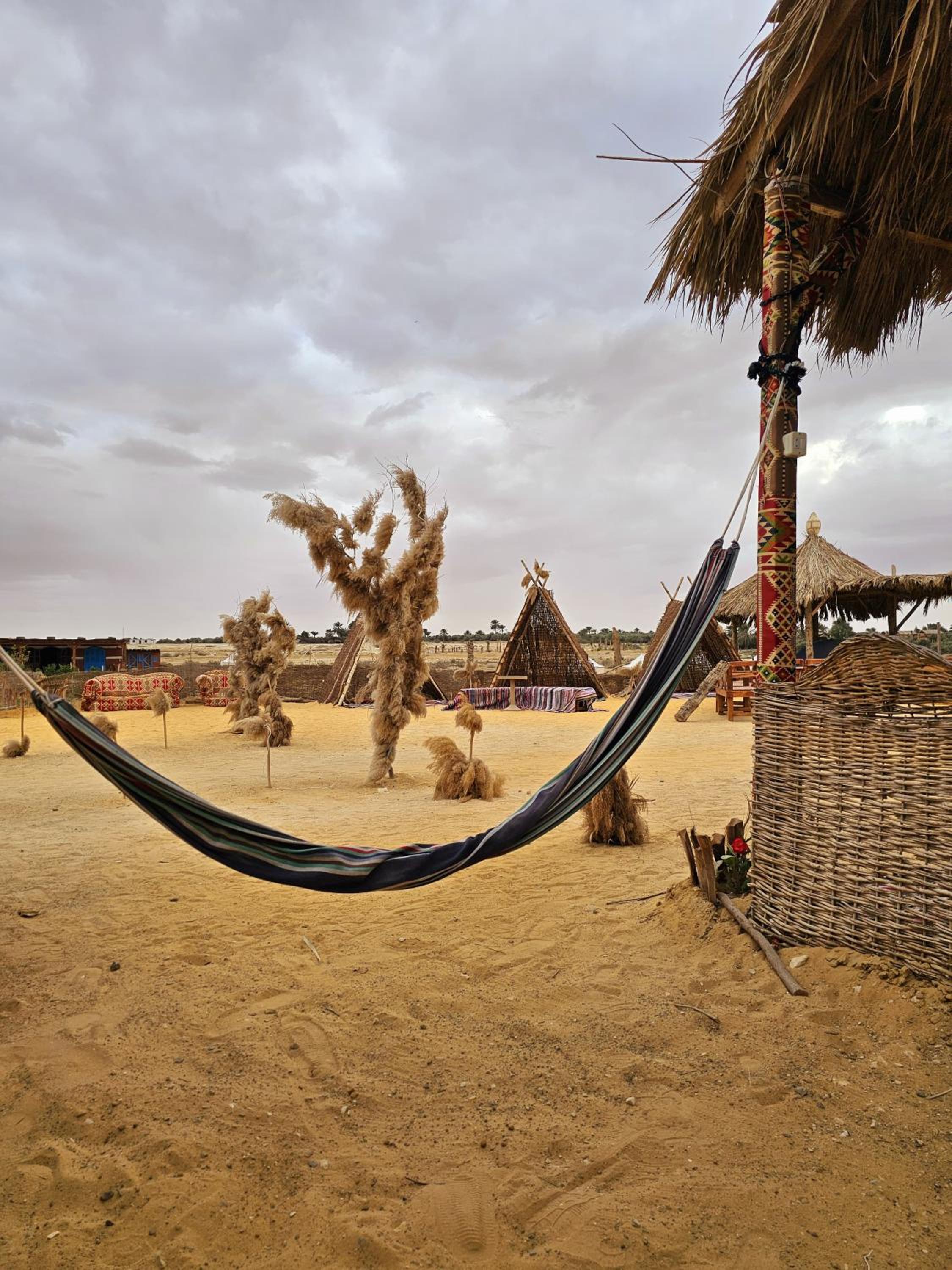 flamingo camp