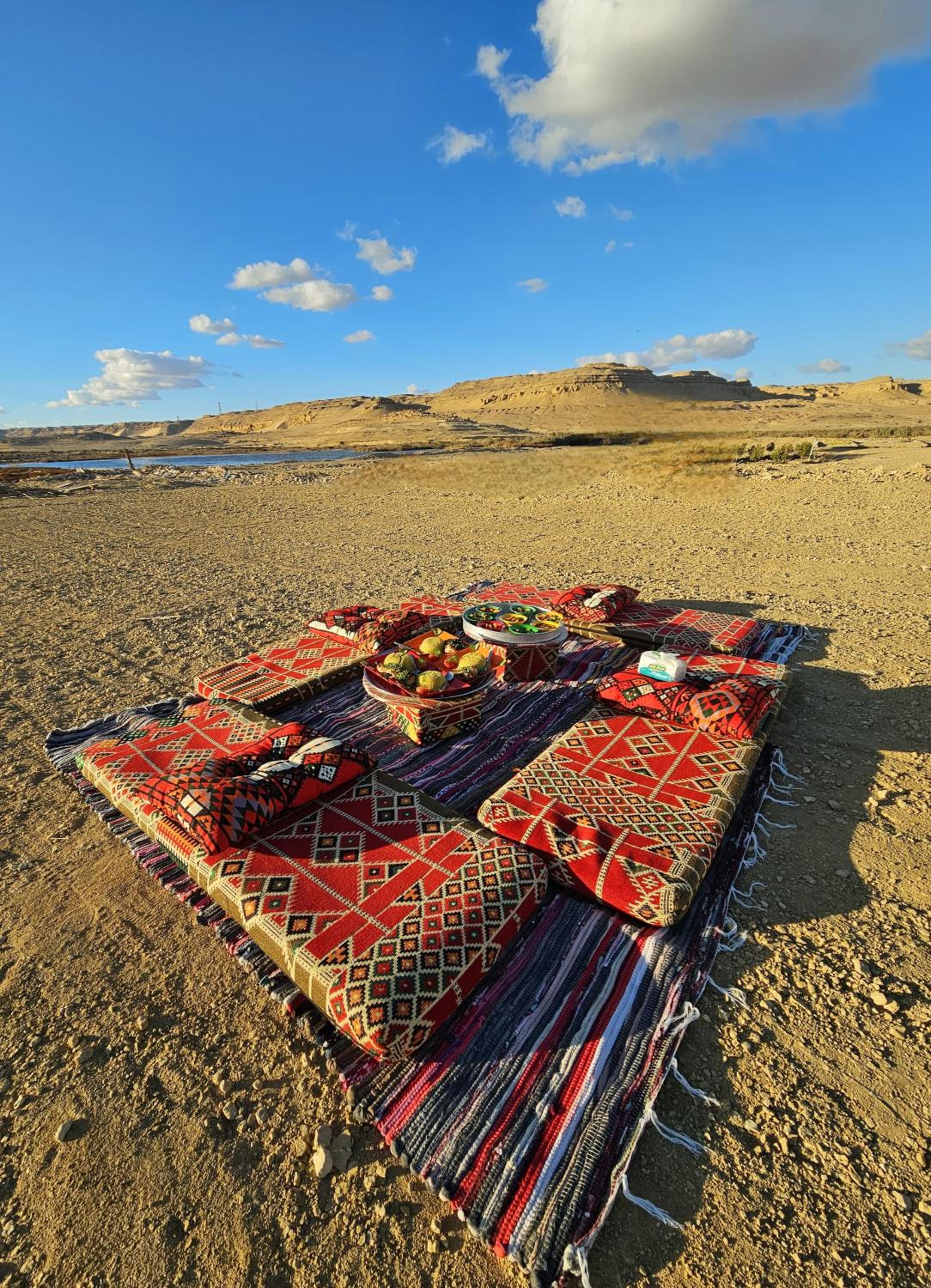 flamingo camp